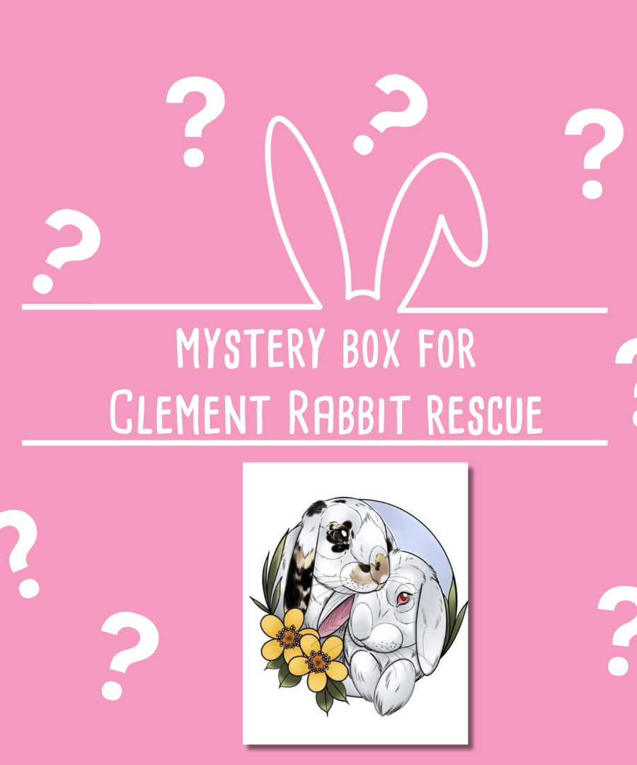 Mystery Box for Clement Rabbit Rescue