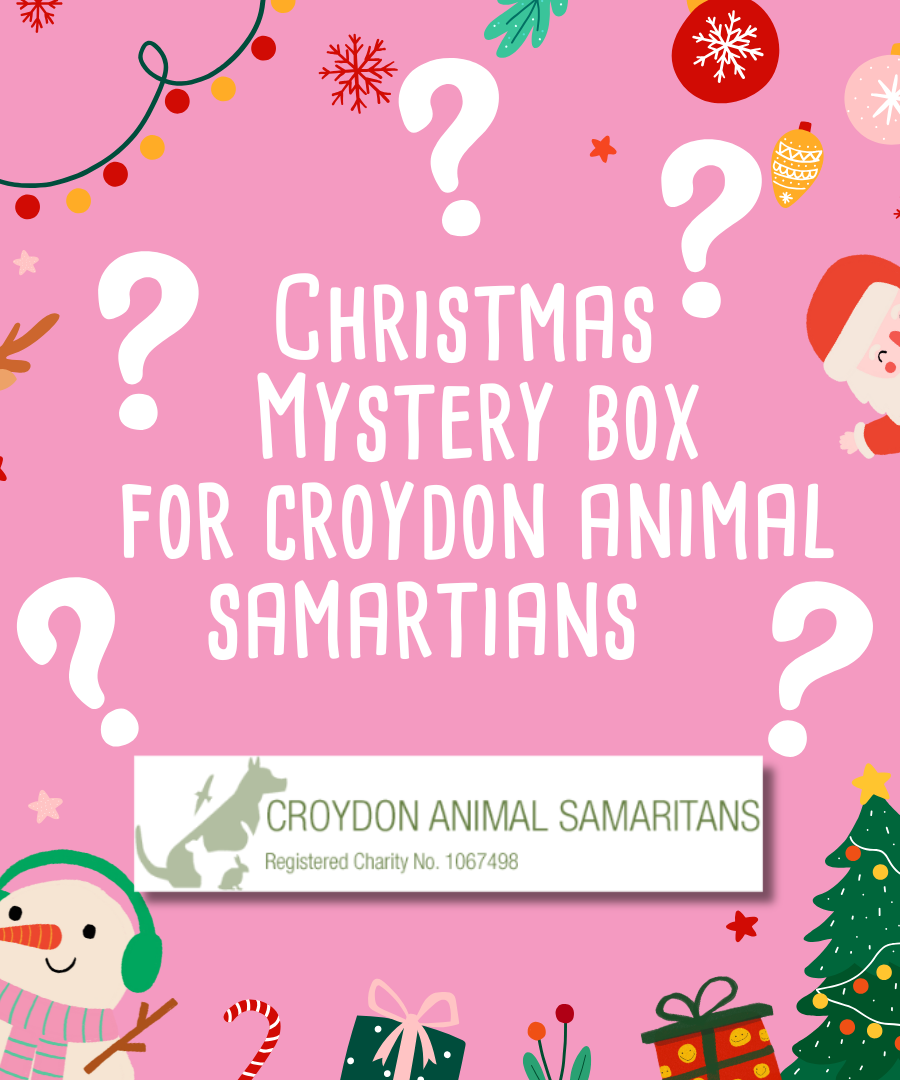 Mystery Christmas Box for Croydon Animal Samaritans