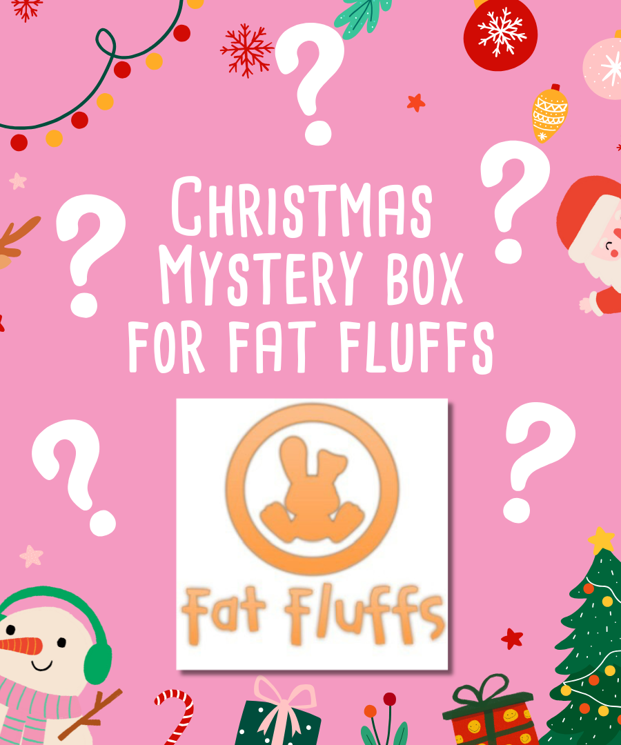 Mystery Christmas Box for Fat Fluffs Rabbit Rescue