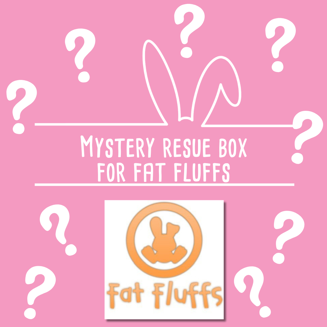 Mystery Rescue Box for Fat Fluffs Rabbit Rescue
