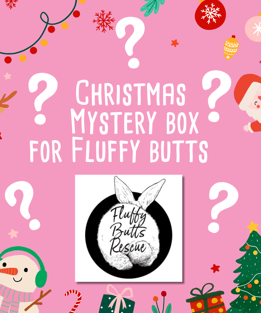 Mystery Christmas Box for Fluffy Butts Rescue