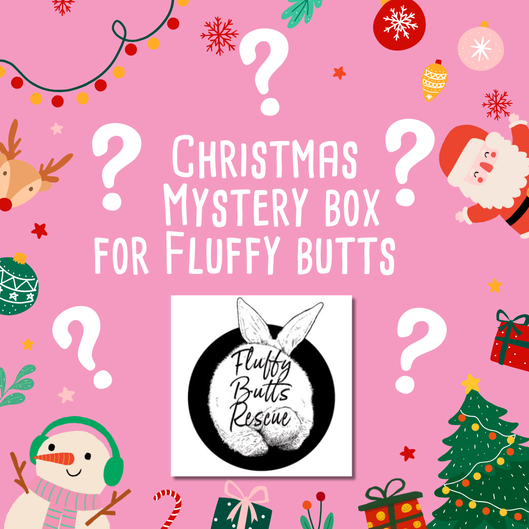 Mystery Christmas Box for Fluffy Butts Rescue