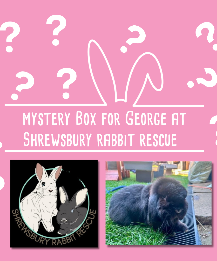 Mystery Box for George at Shrewsbury Rabbit Rescue