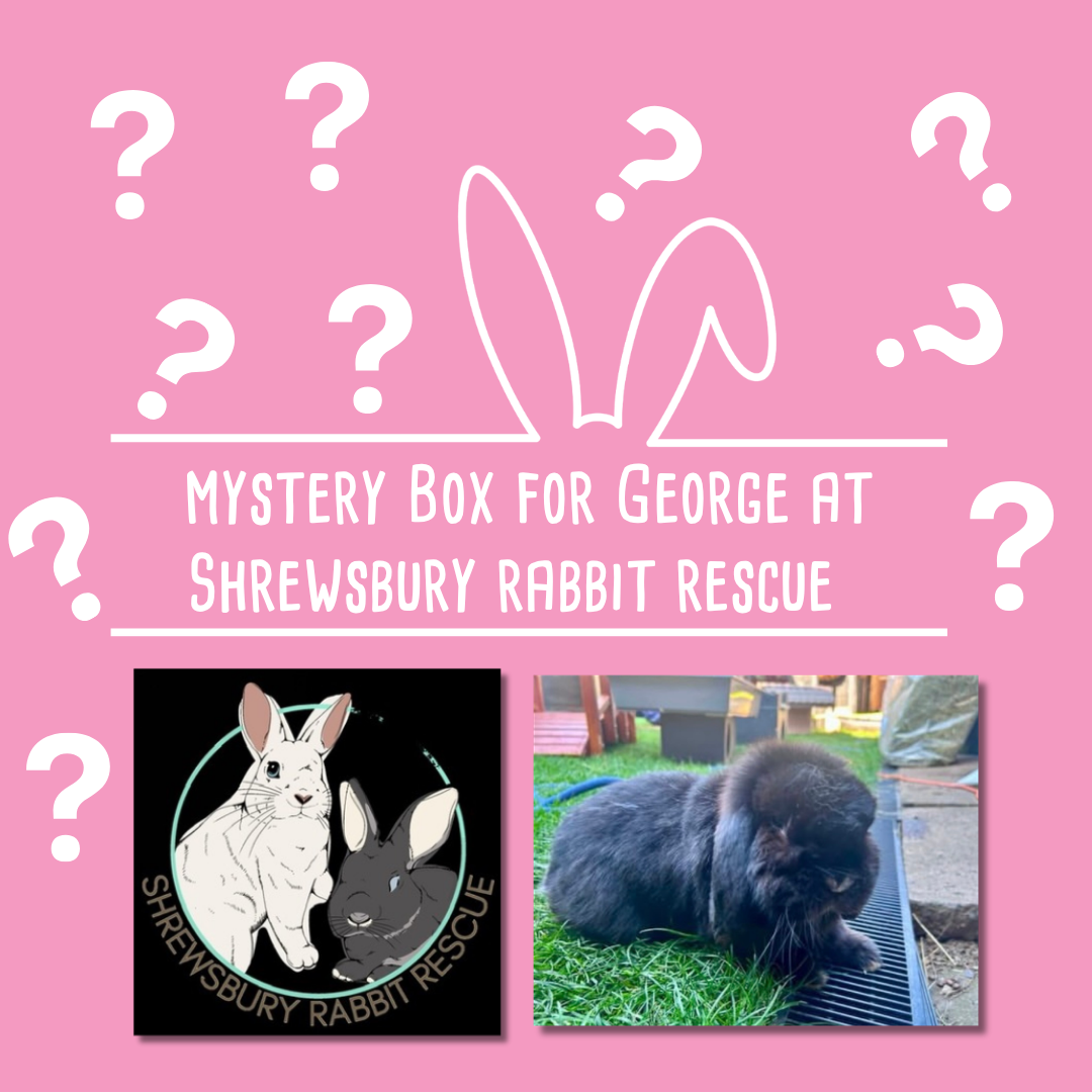 Mystery Box for George at Shrewsbury Rabbit Rescue