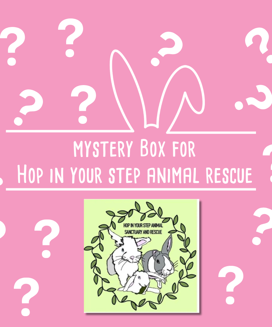 Mystery Box for Hop in your step animal rescue