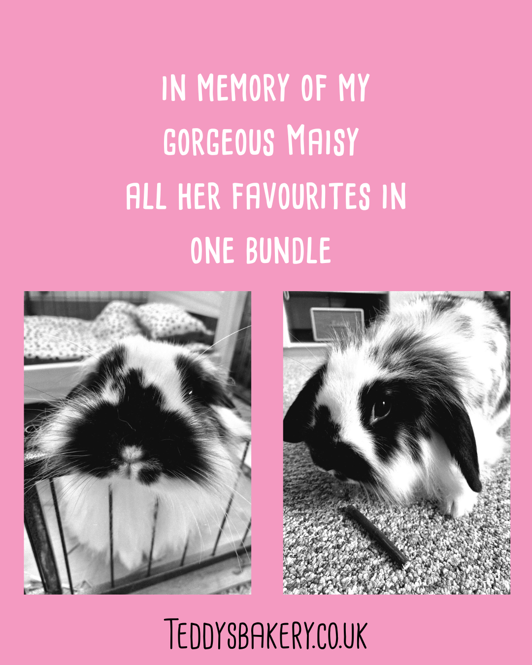 In memory of Maisy all her favourites