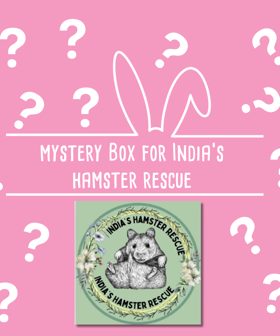 Mystery Box for India's Hamster Rescue