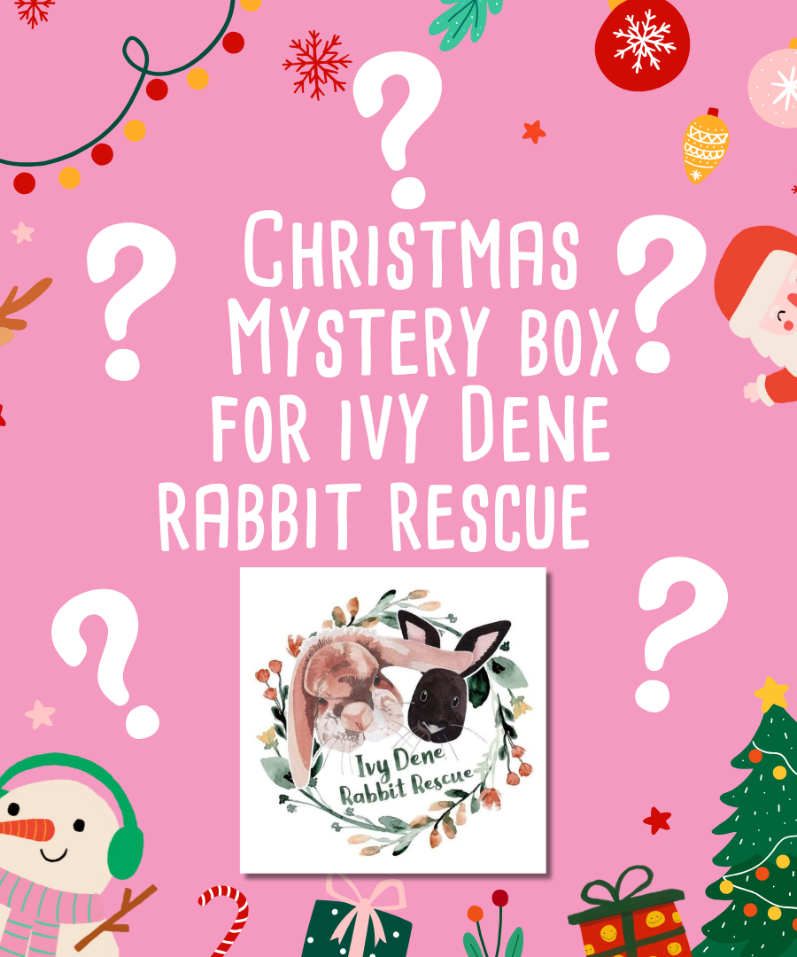 Mystery Christmas Box for Ivy Dene Rabbit Rescue