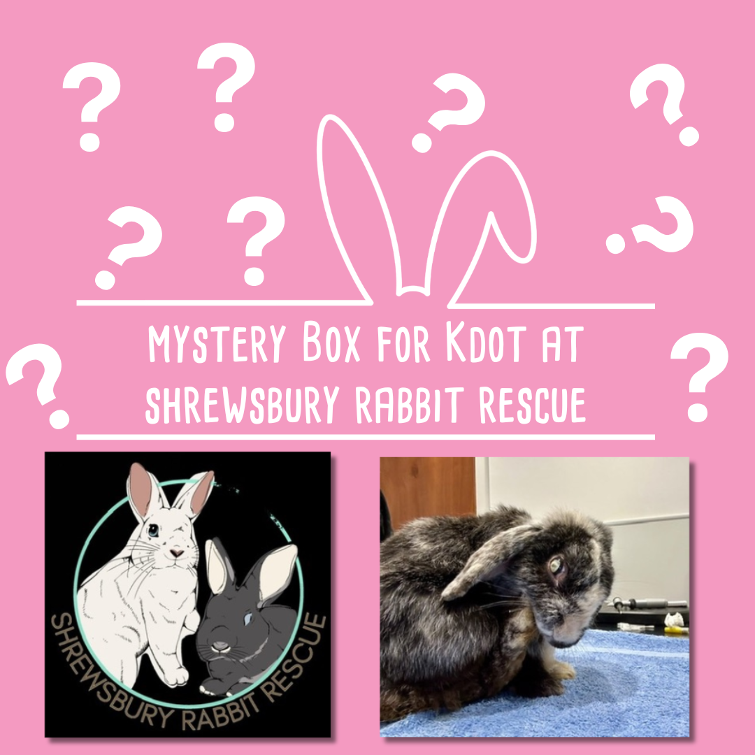 Mystery Box for Kdot  at Shrewsbury Rabbit Rescue