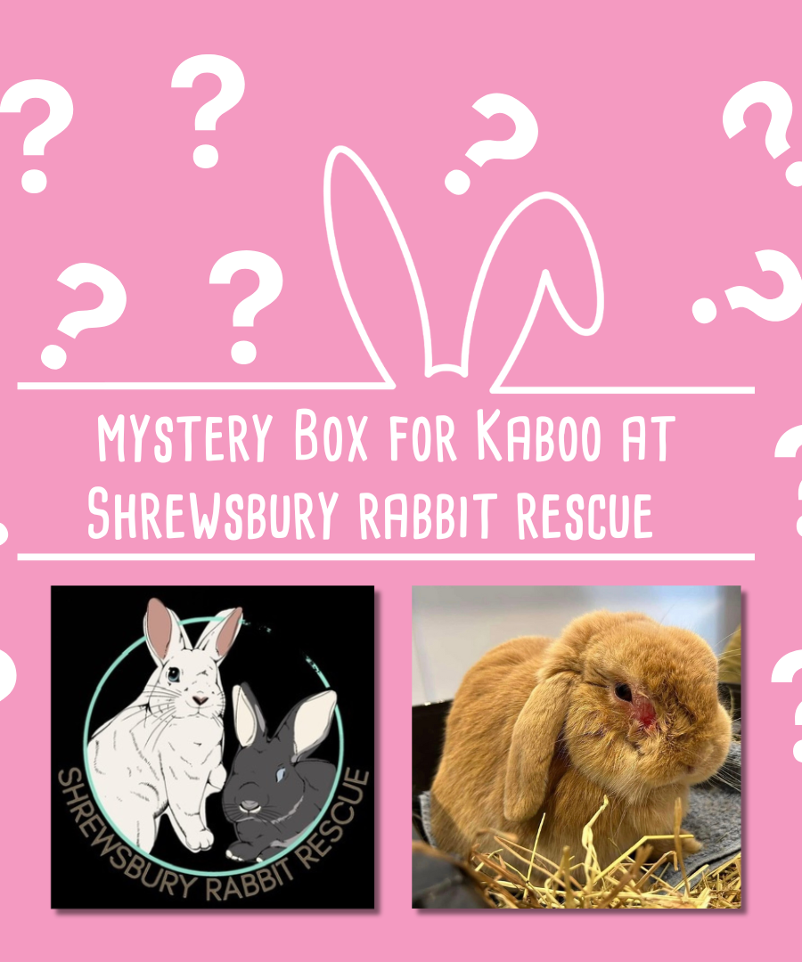 Mystery Box for Kaboo  at Shrewsbury Rabbit Rescue