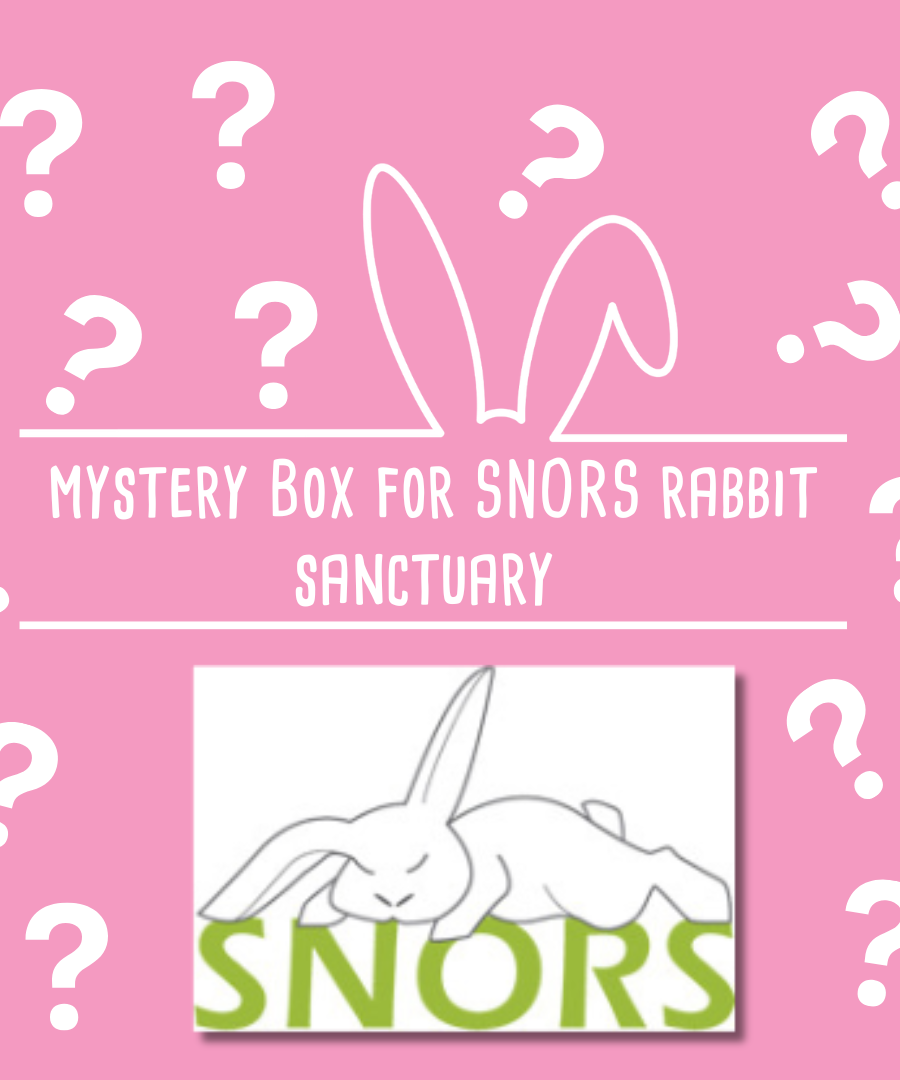 Mystery Box for SNORS ( Special needs older rabbit sanctuary)