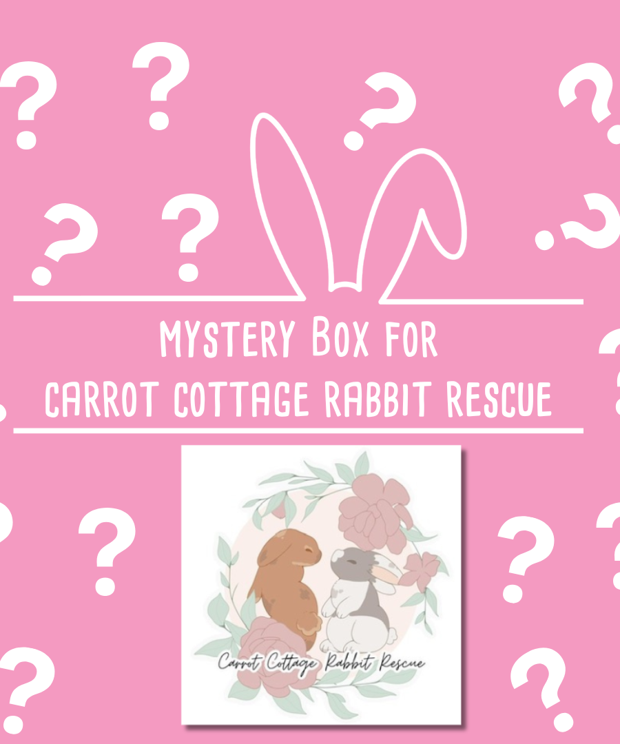 Mystery Box for Carrot Cottage Rabbit Rescue