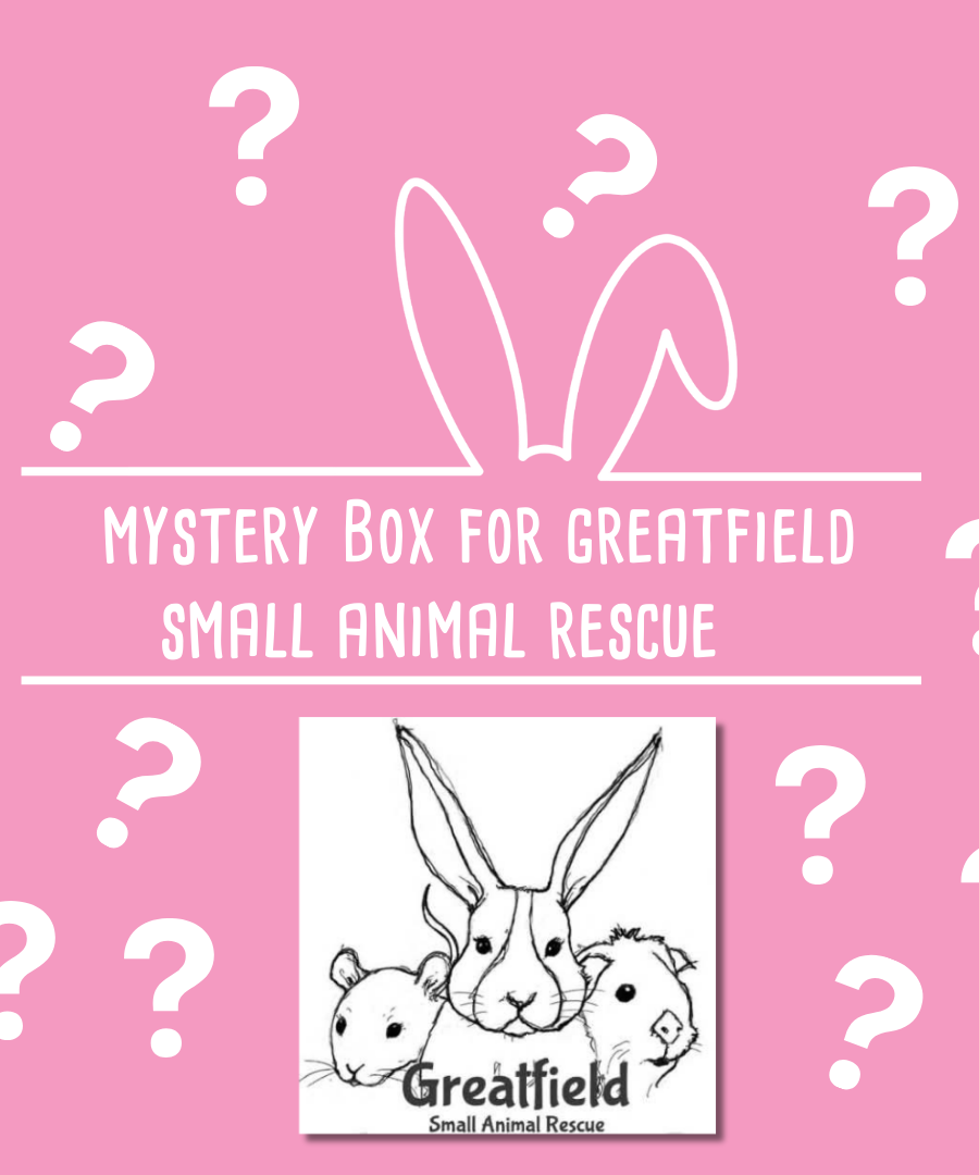 Mystery Box for Greenfield Small Animal Rescue