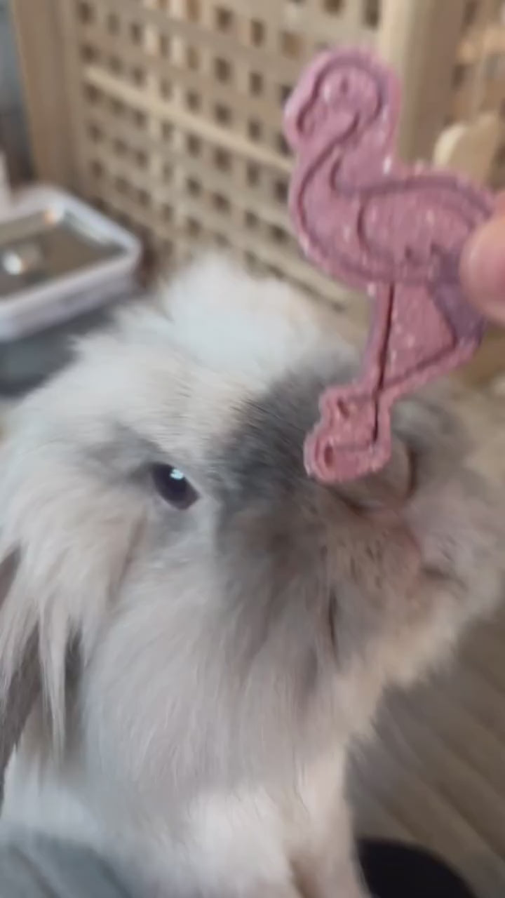 Summer Ice cream and Flamingo