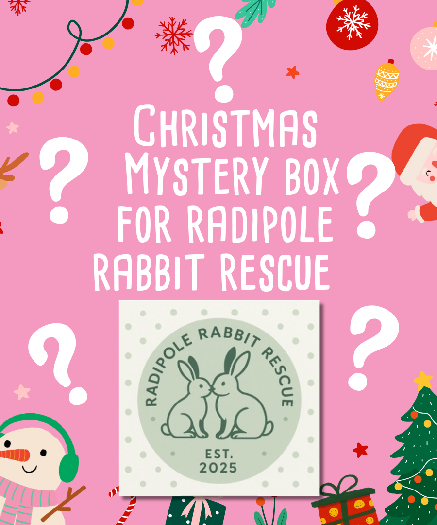 Mystery Christmas Box for Radipole Rabbit Rescue