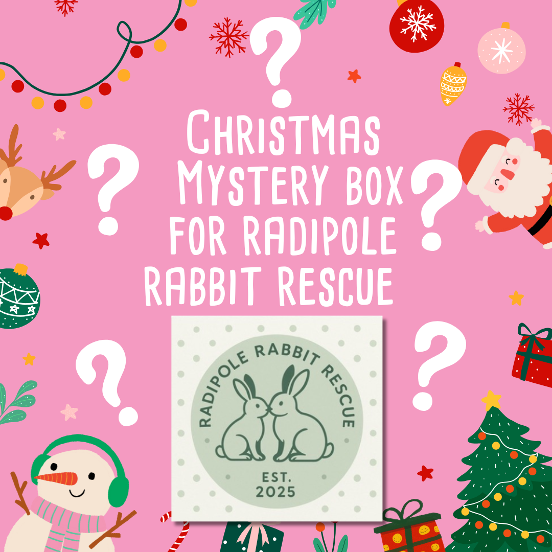 Mystery Christmas Box for Radipole Rabbit Rescue