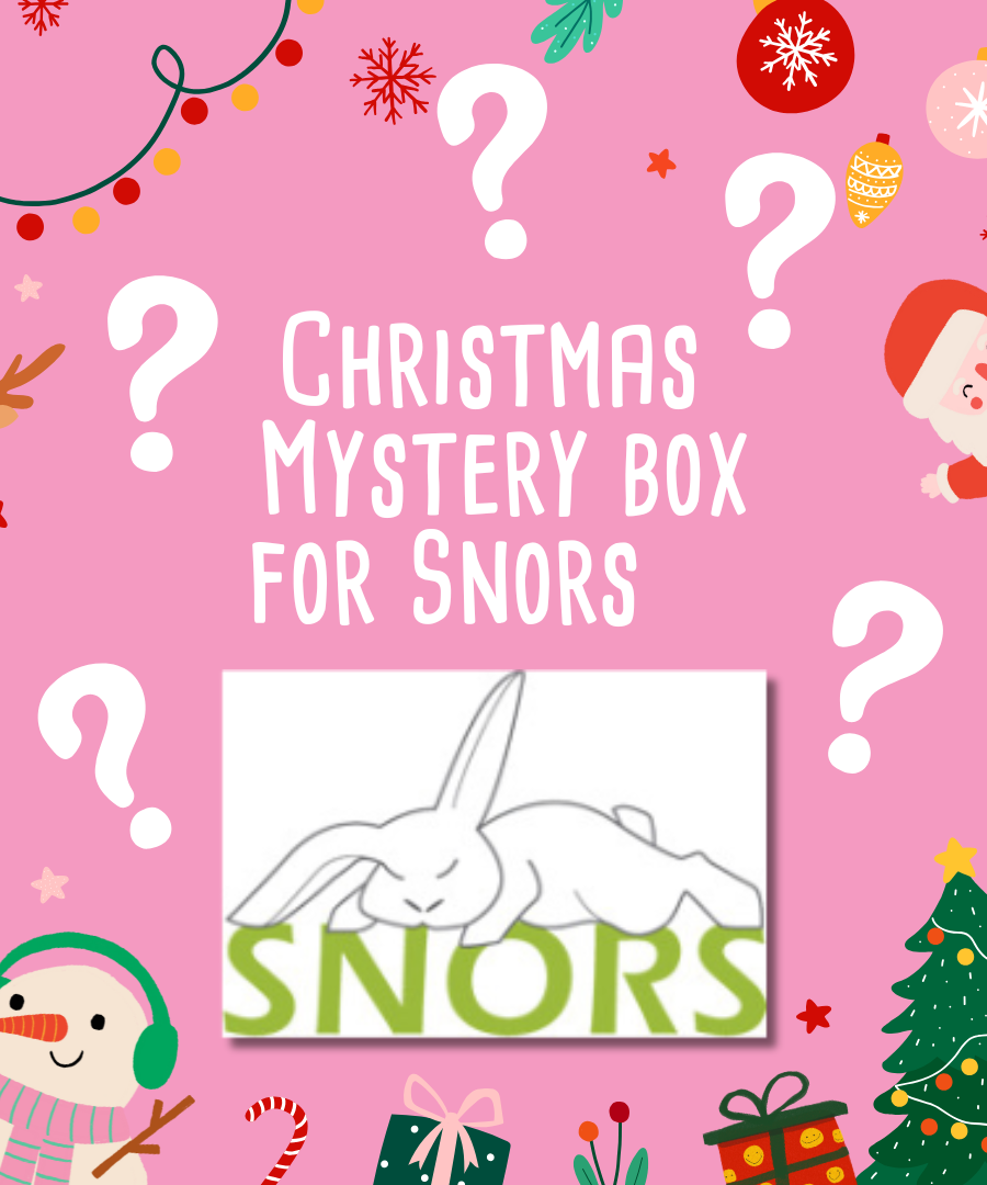 Mystery Christmas Box for SNORS ( Special needs older rabbit sanctuary)