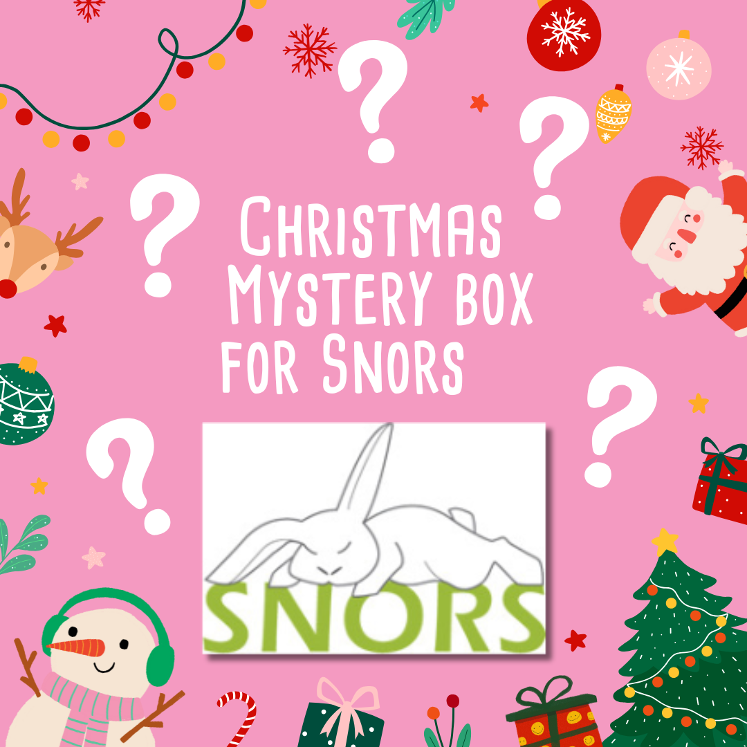 Mystery Christmas Box for SNORS ( Special needs older rabbit sanctuary)