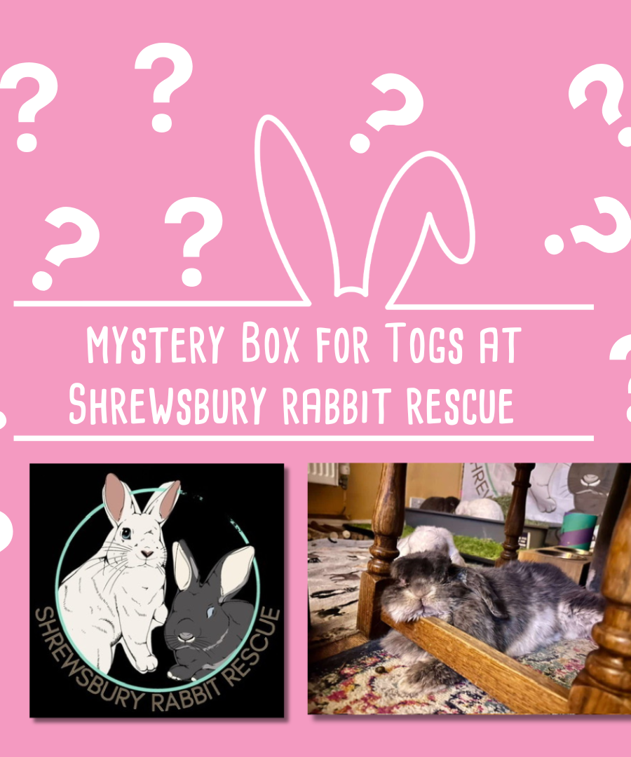 Mystery Box for Togs at Shrewsbury Rabbit Rescue