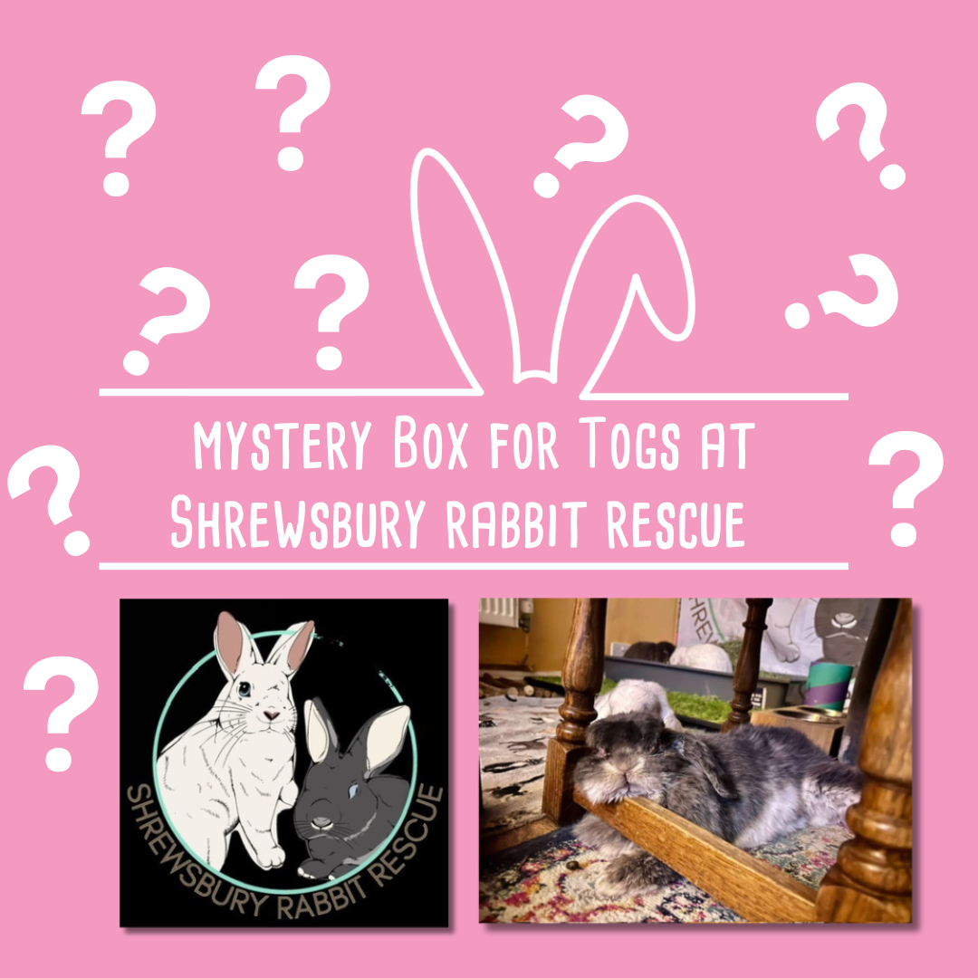 Mystery Box for Togs at Shrewsbury Rabbit Rescue