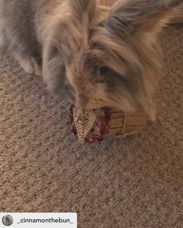 Rose Heart Cupcake Chew Toy