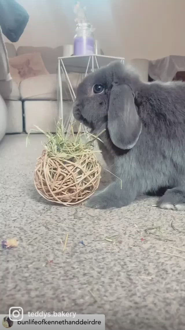 Timothy Hay & Flower Stuffed Vine Nest