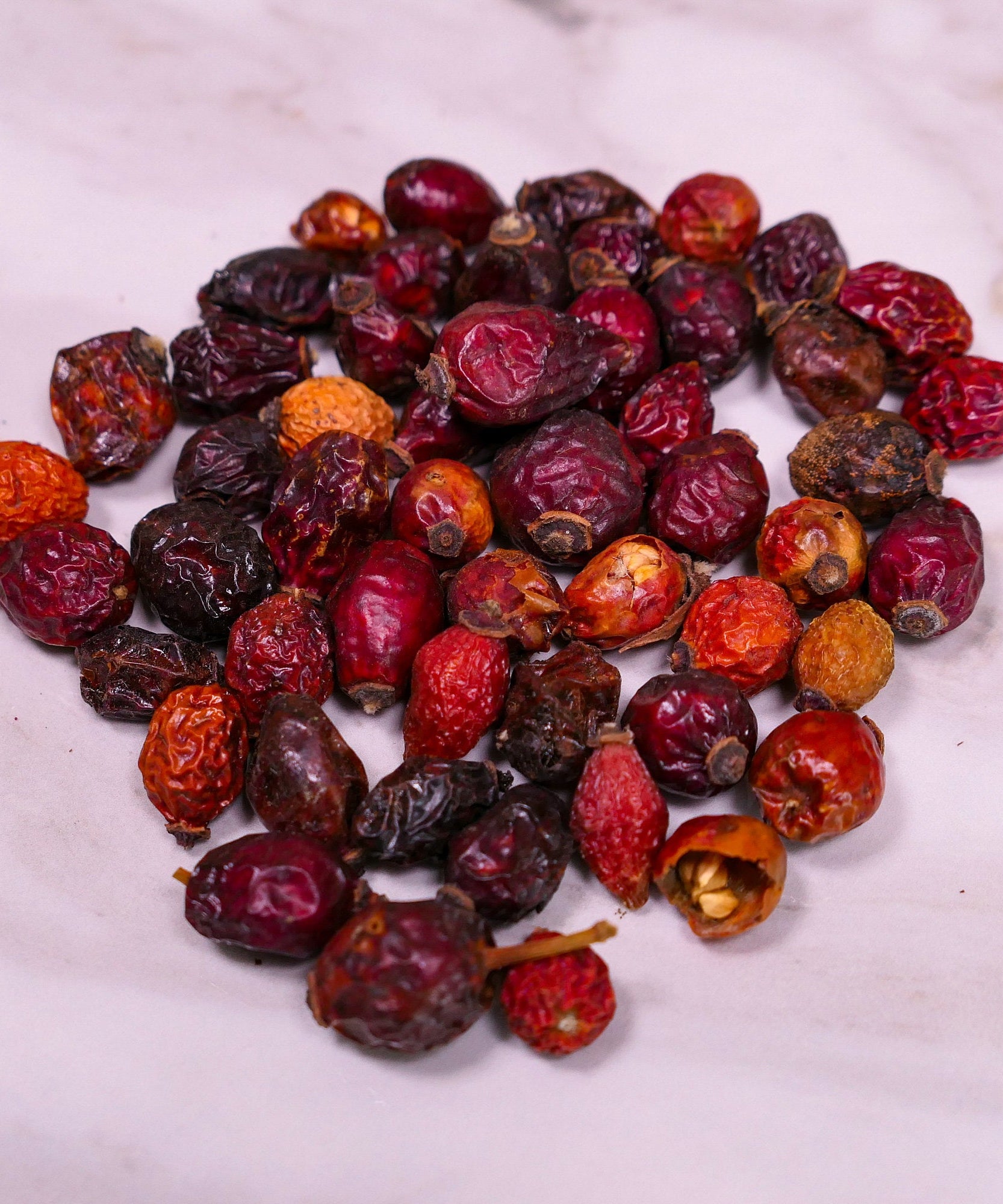 Bunny Forage - Rosehips
