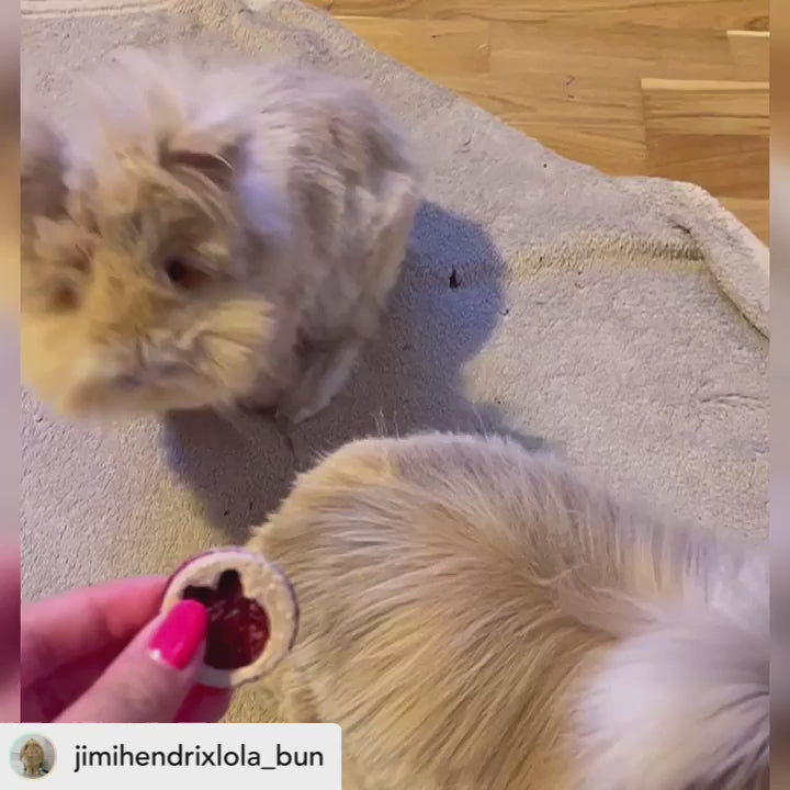 Jam Sandwich Cookies Treat Bag