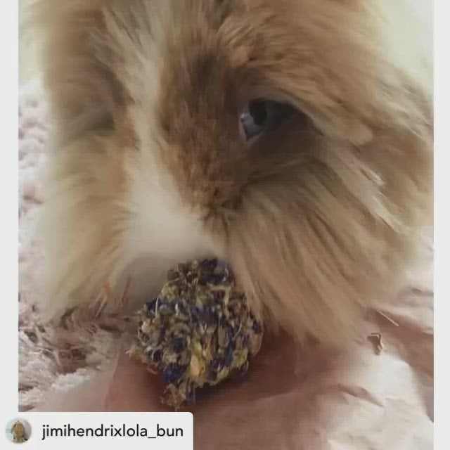 Floral Pine Cone Chew Toy