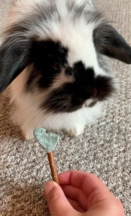 Blue Heart Pops Treat Bag