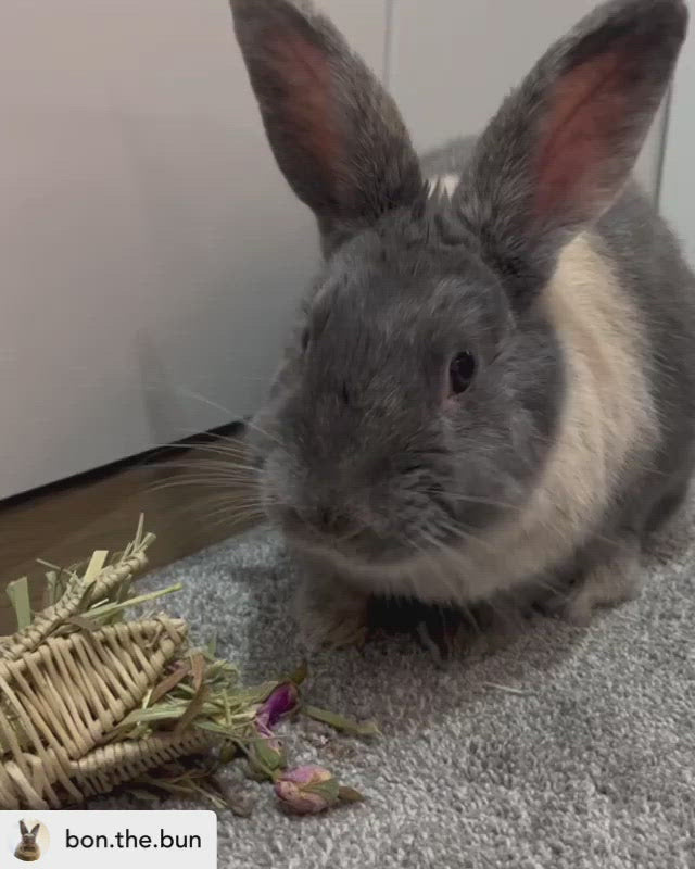 Valentine's Bunch Toy