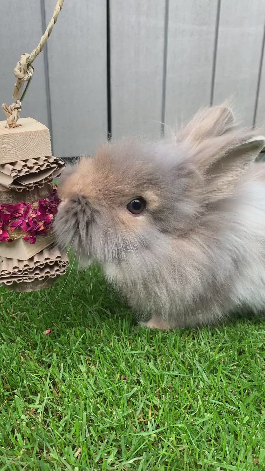 Floral Loofah Nibble and Chew Hanging Toy