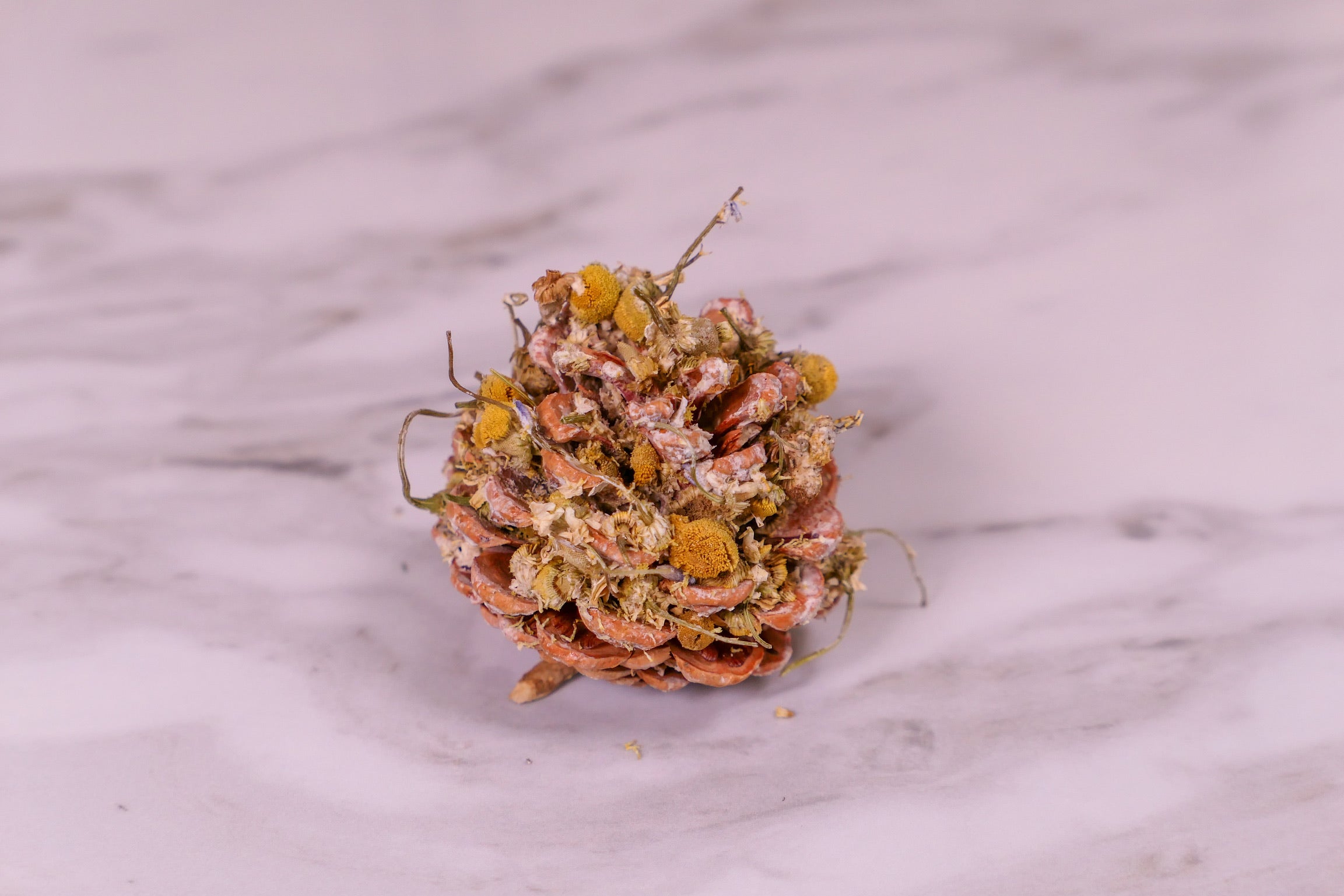 Calming Twilight Bundle