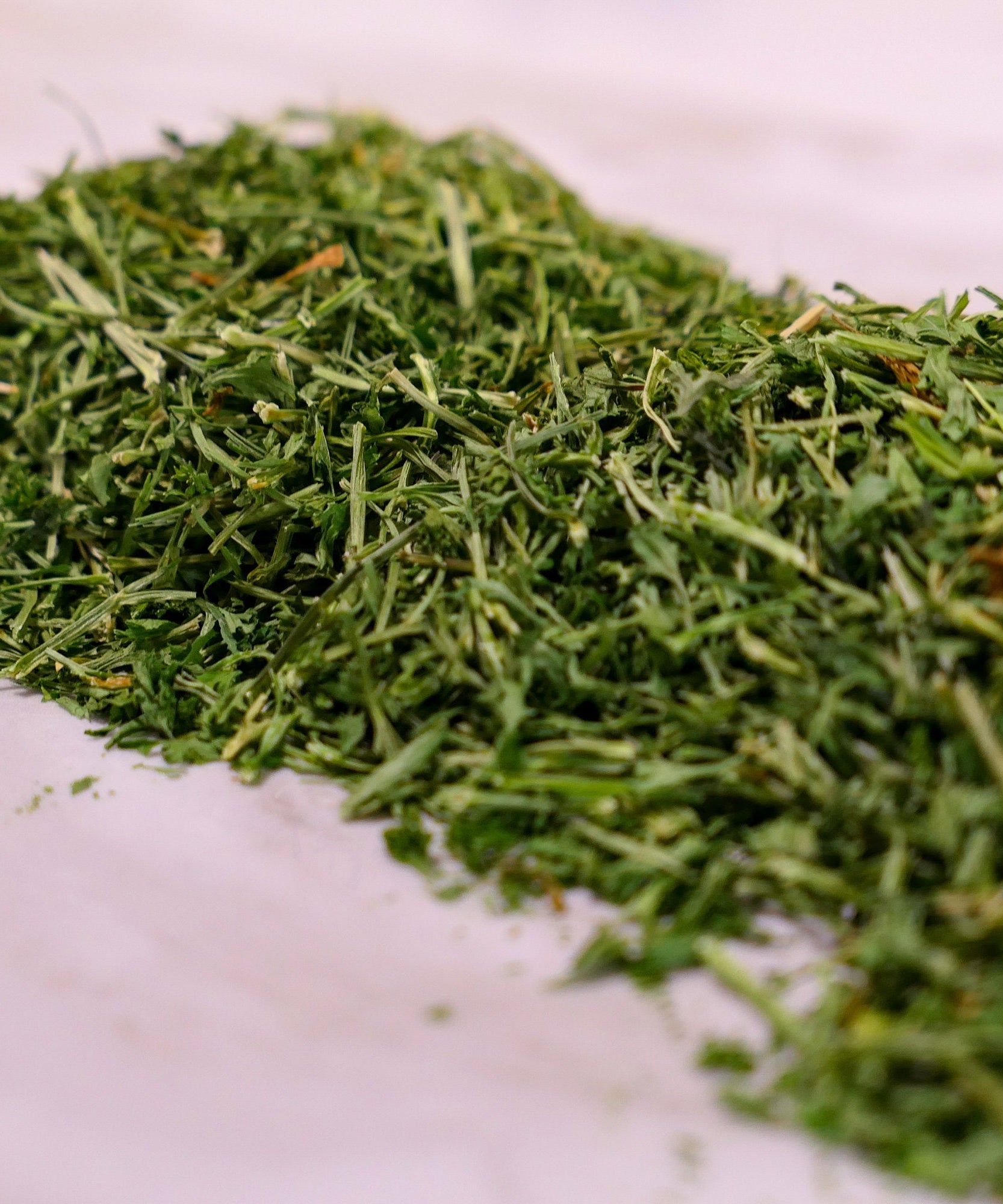 Bunny Forage - Parsley Stalks