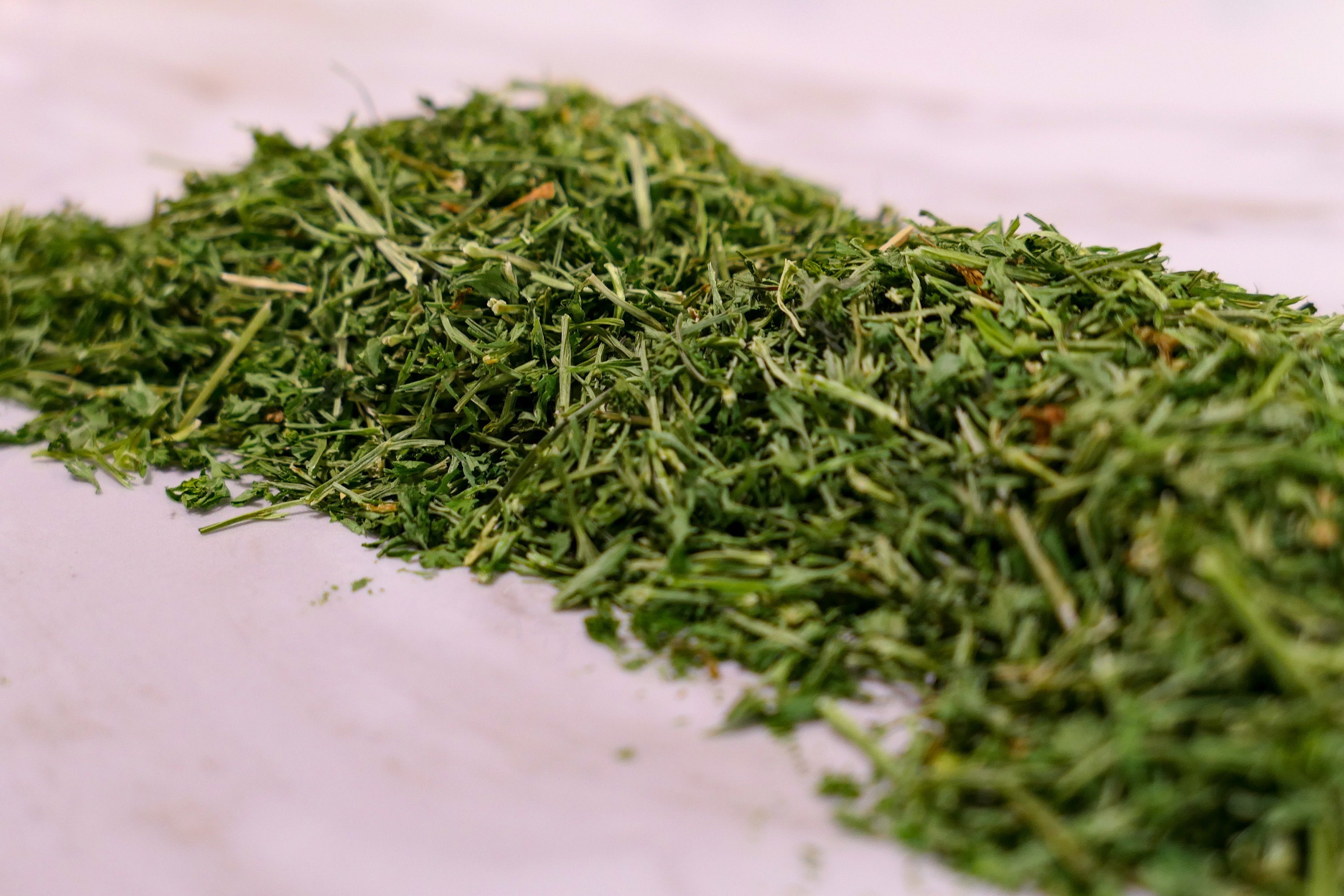 Bunny Forage - Parsley Stalks