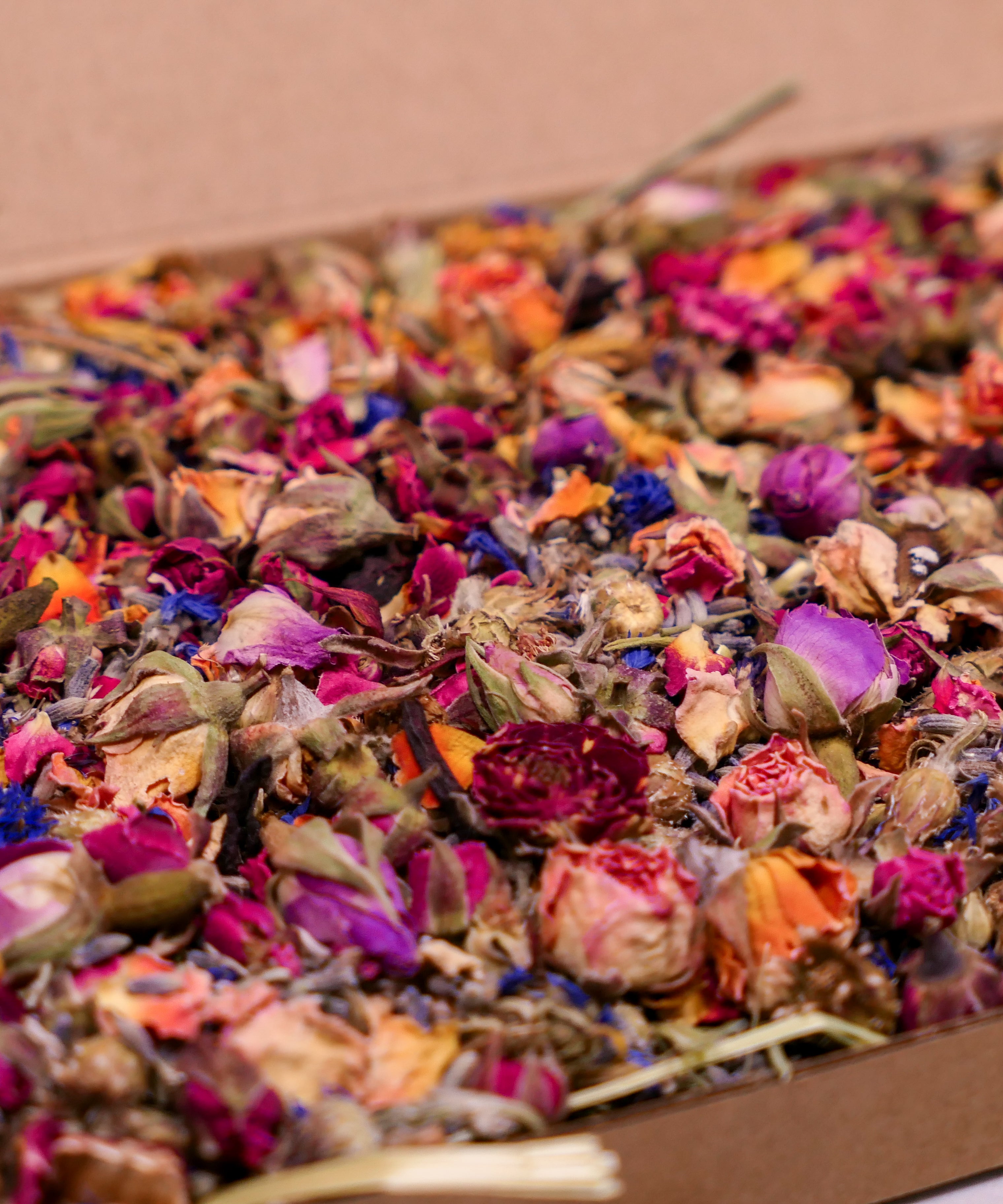 Birthday Confetti Forage Box