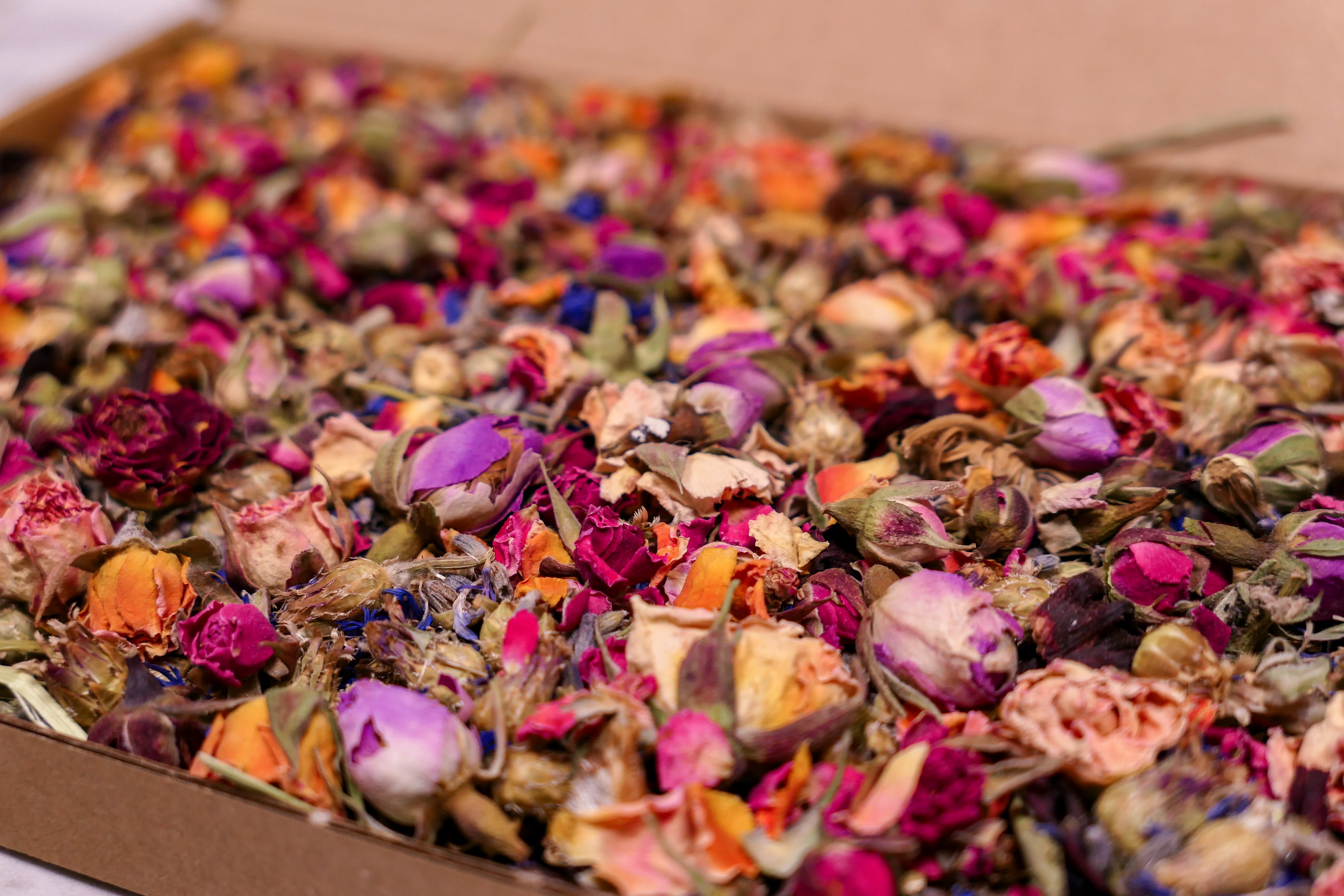 Birthday Confetti Forage Box