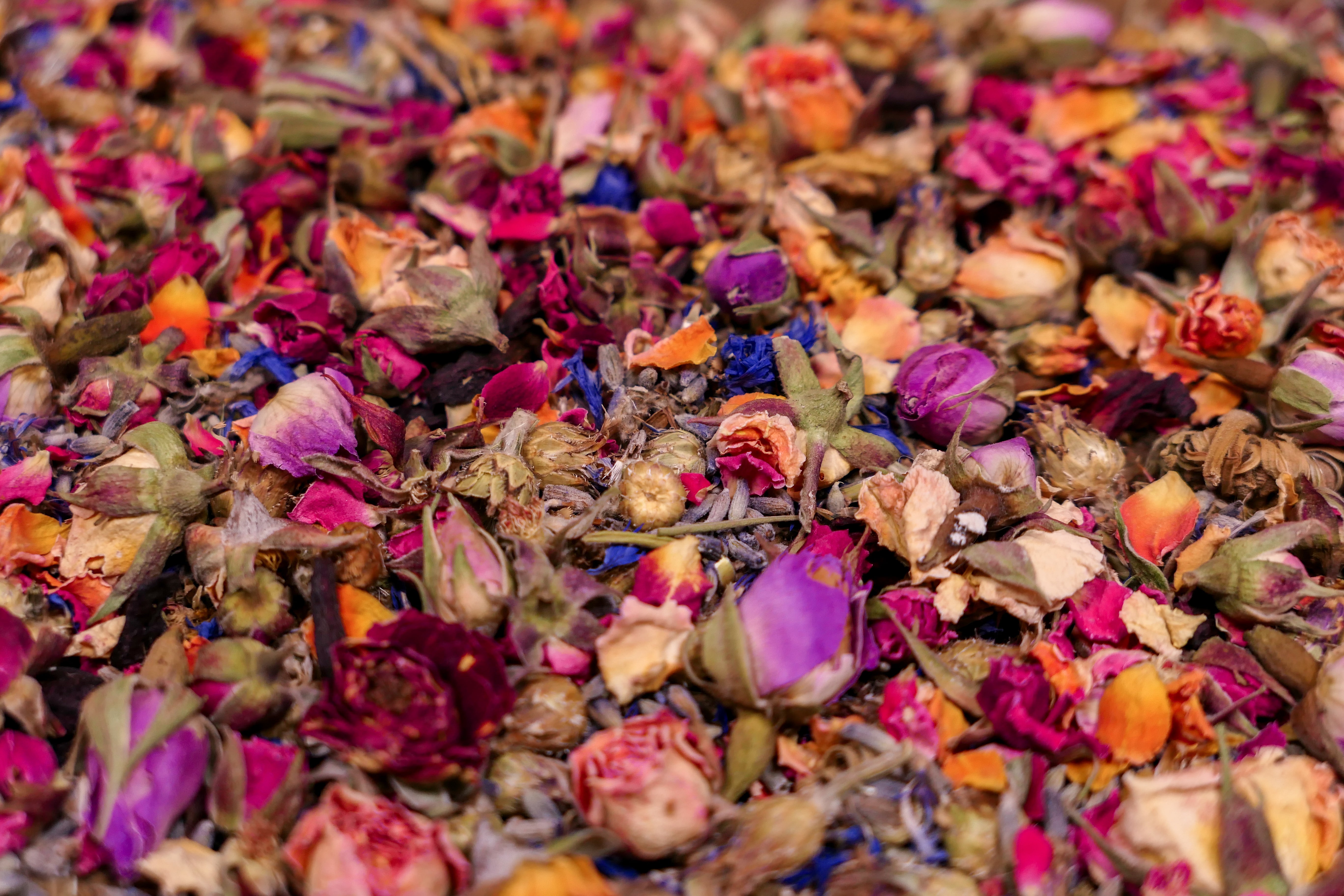 Build your own forage box