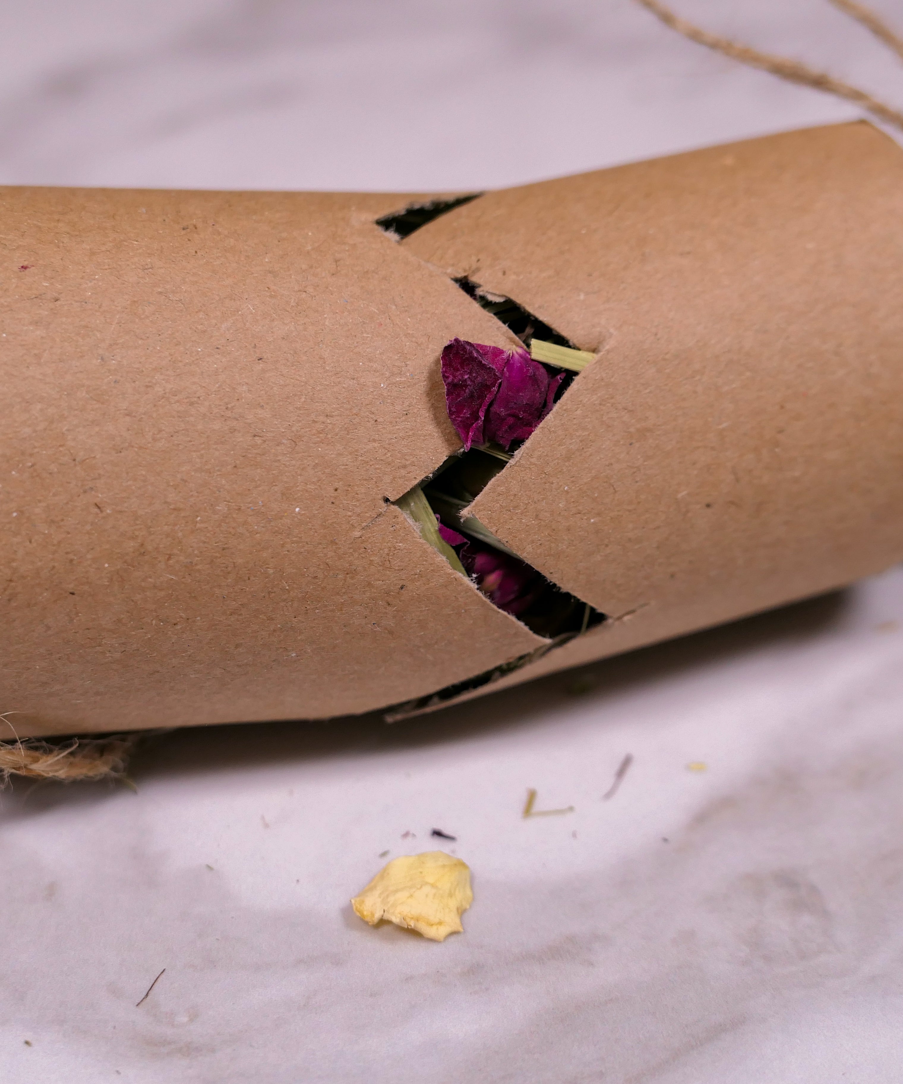 Christmas Cracker Toy