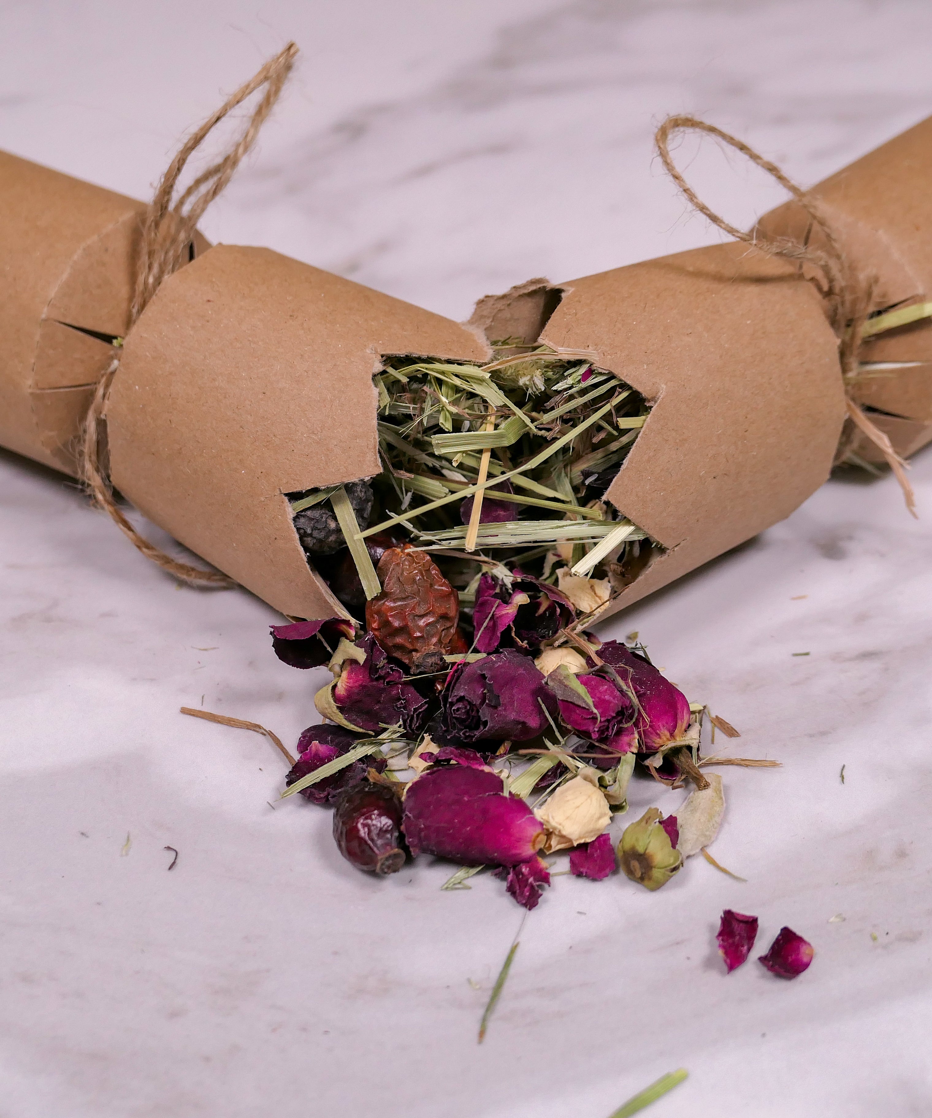 Christmas Cracker Toy