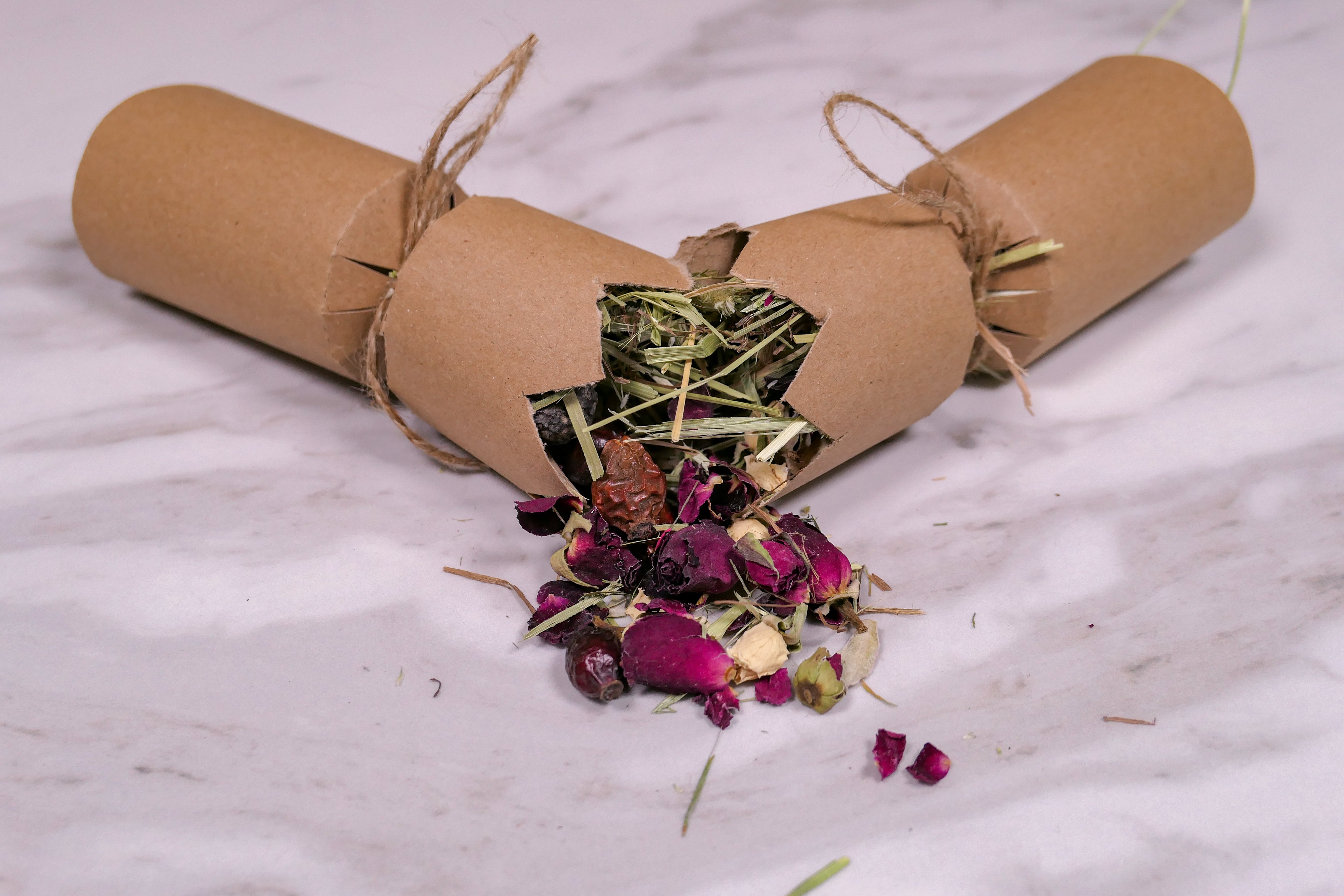 Christmas Cracker Toy