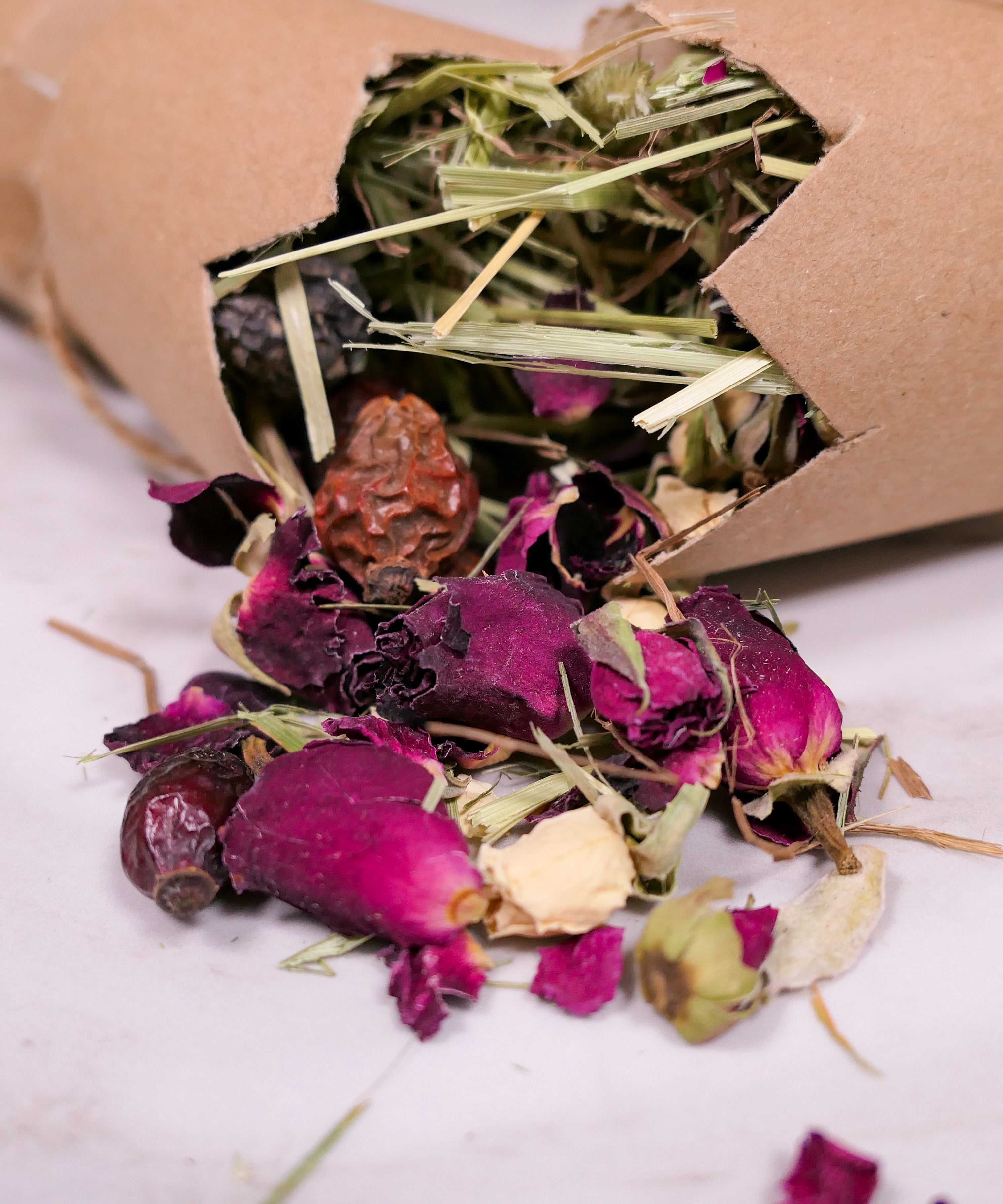 Christmas Cracker Toy