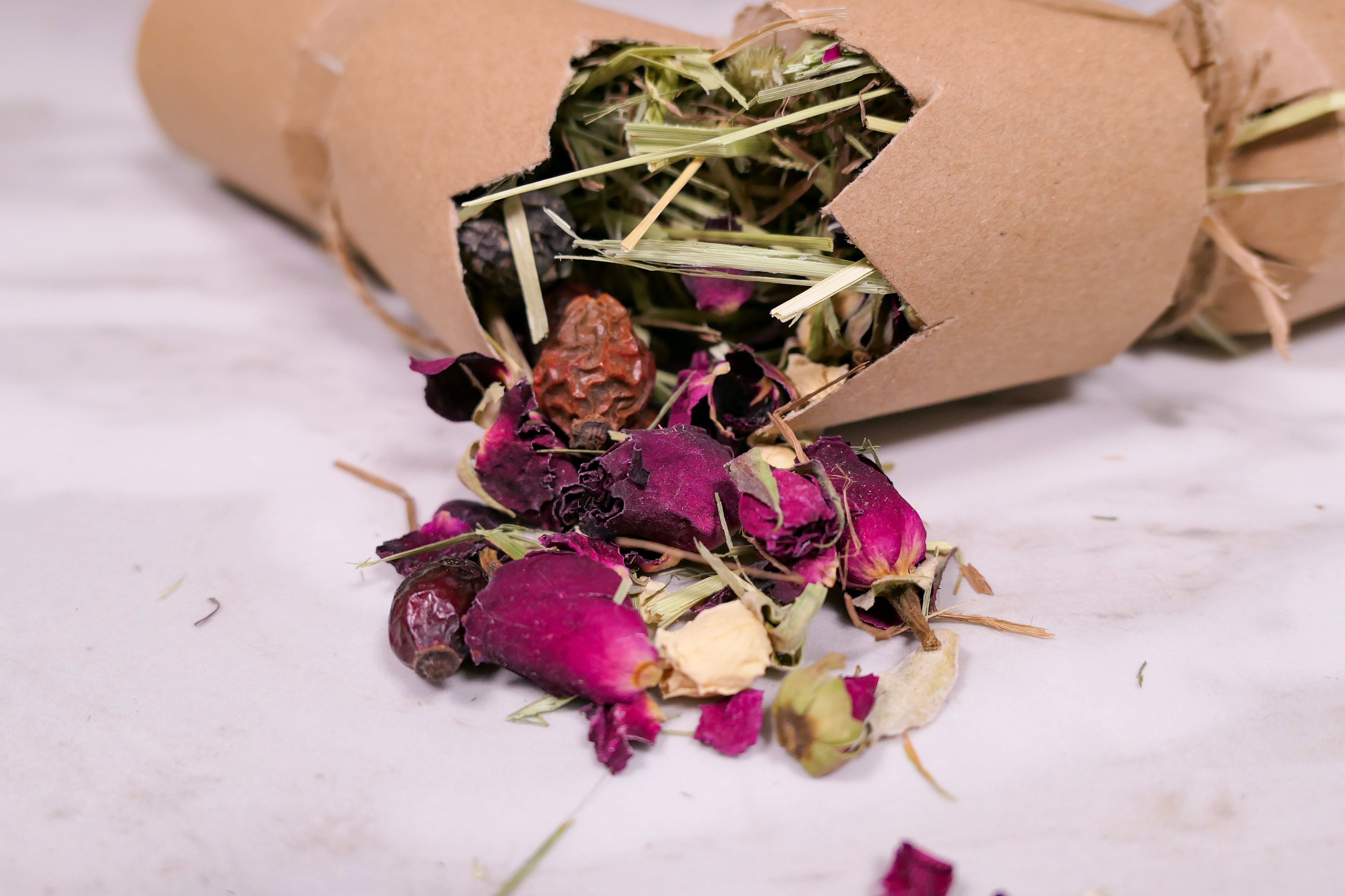 Christmas Cracker Toy