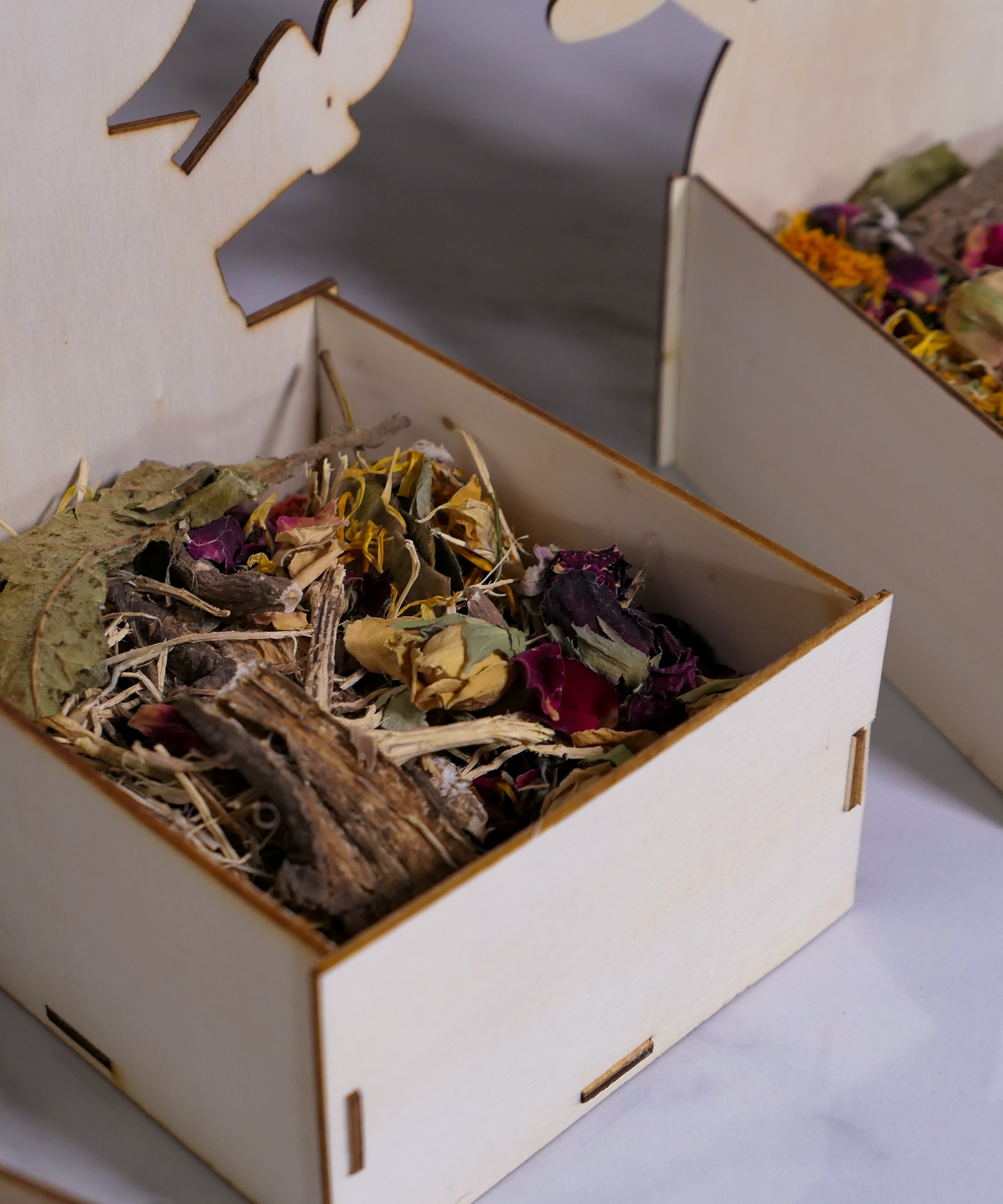 Christmas Forage Tray