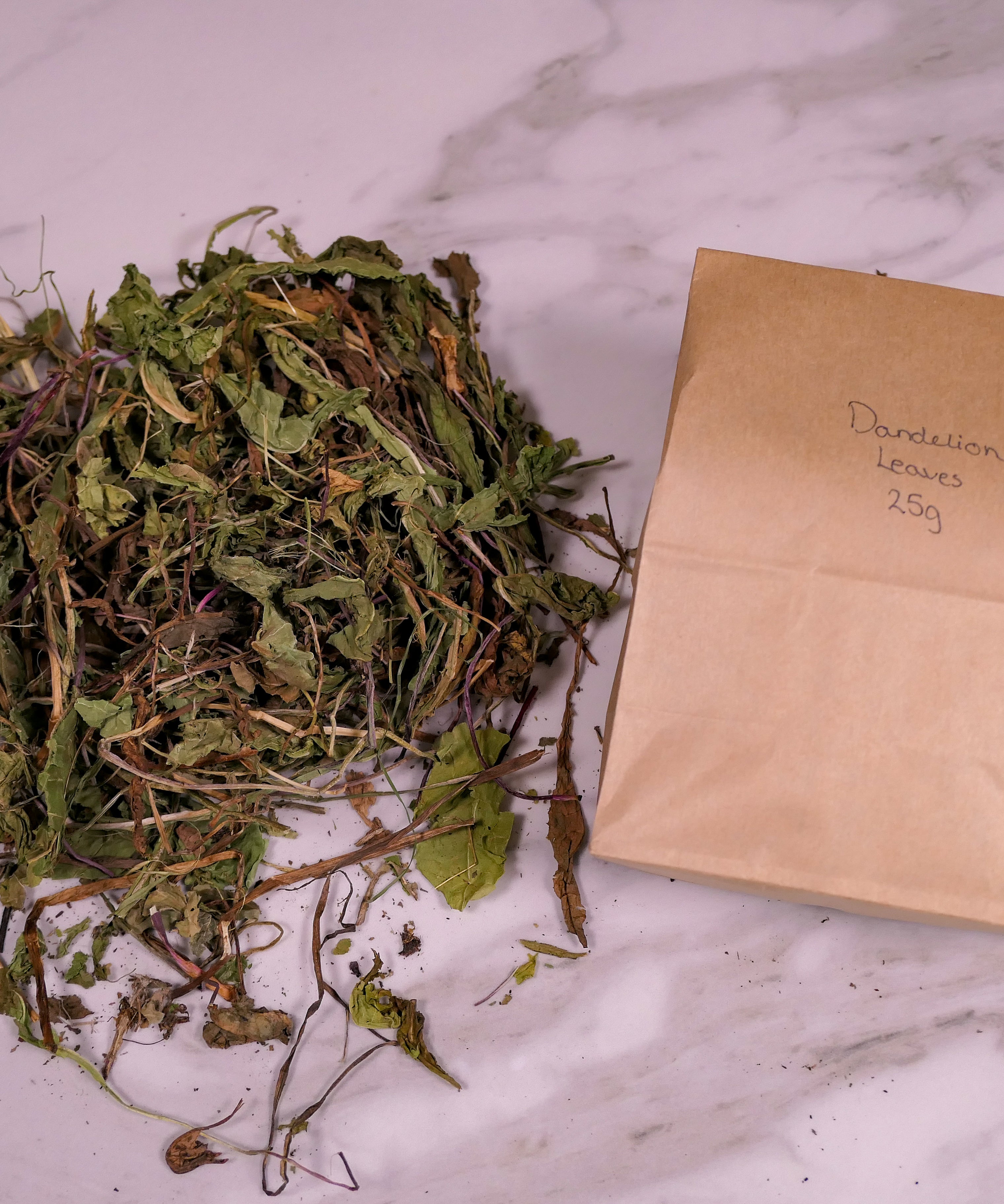 Bunny Forage - Dandelion leaves