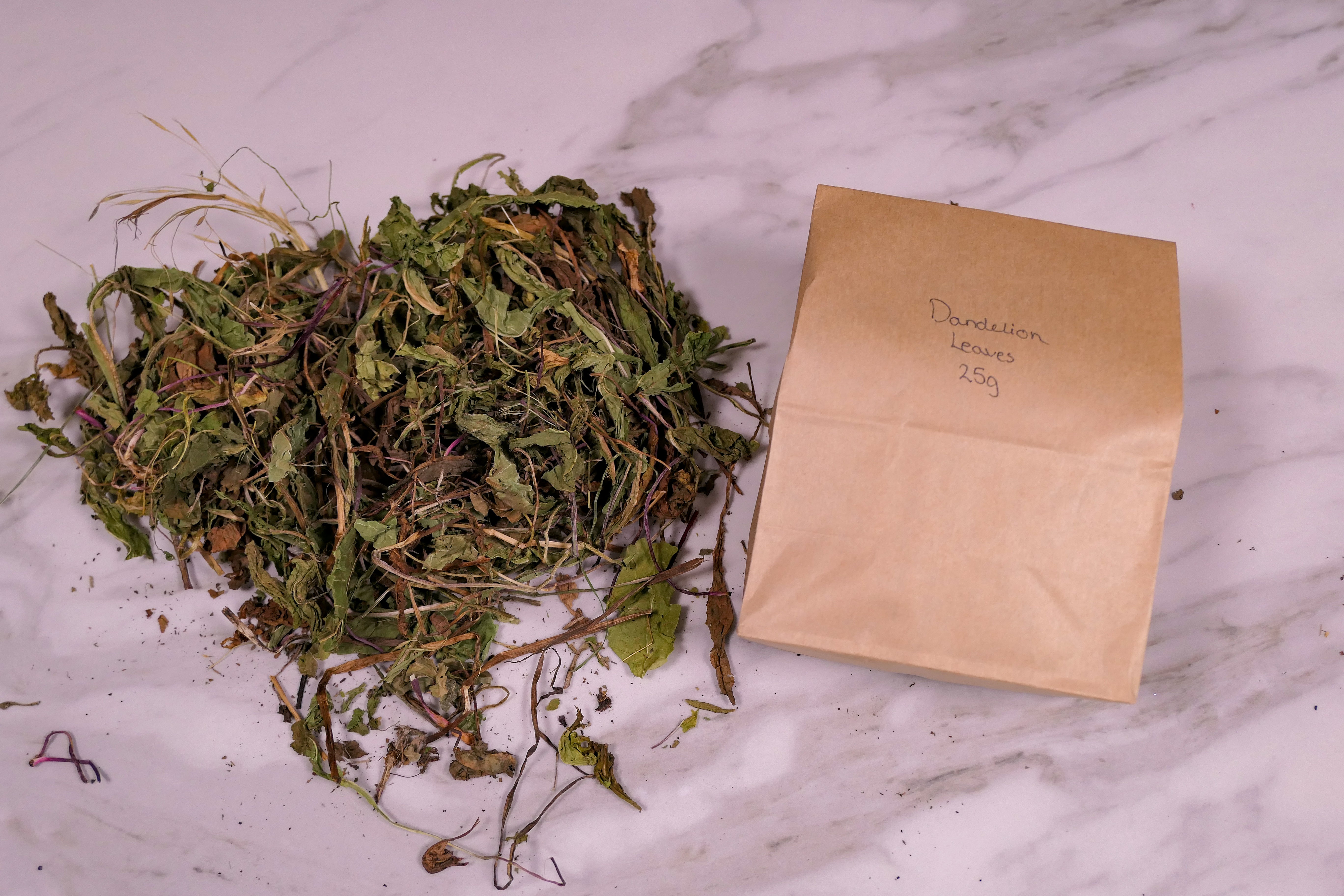 Bunny Forage - Dandelion leaves