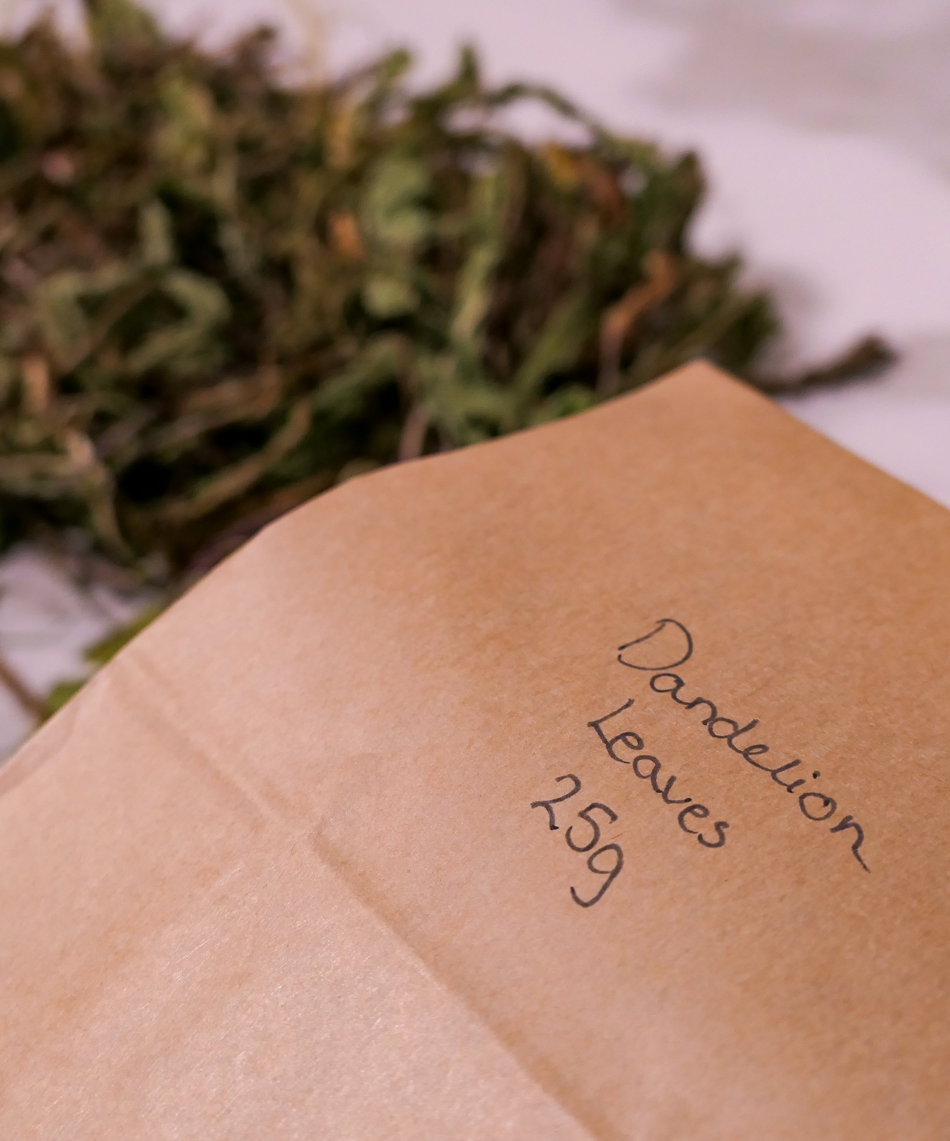 Bunny Forage - Dandelion leaves