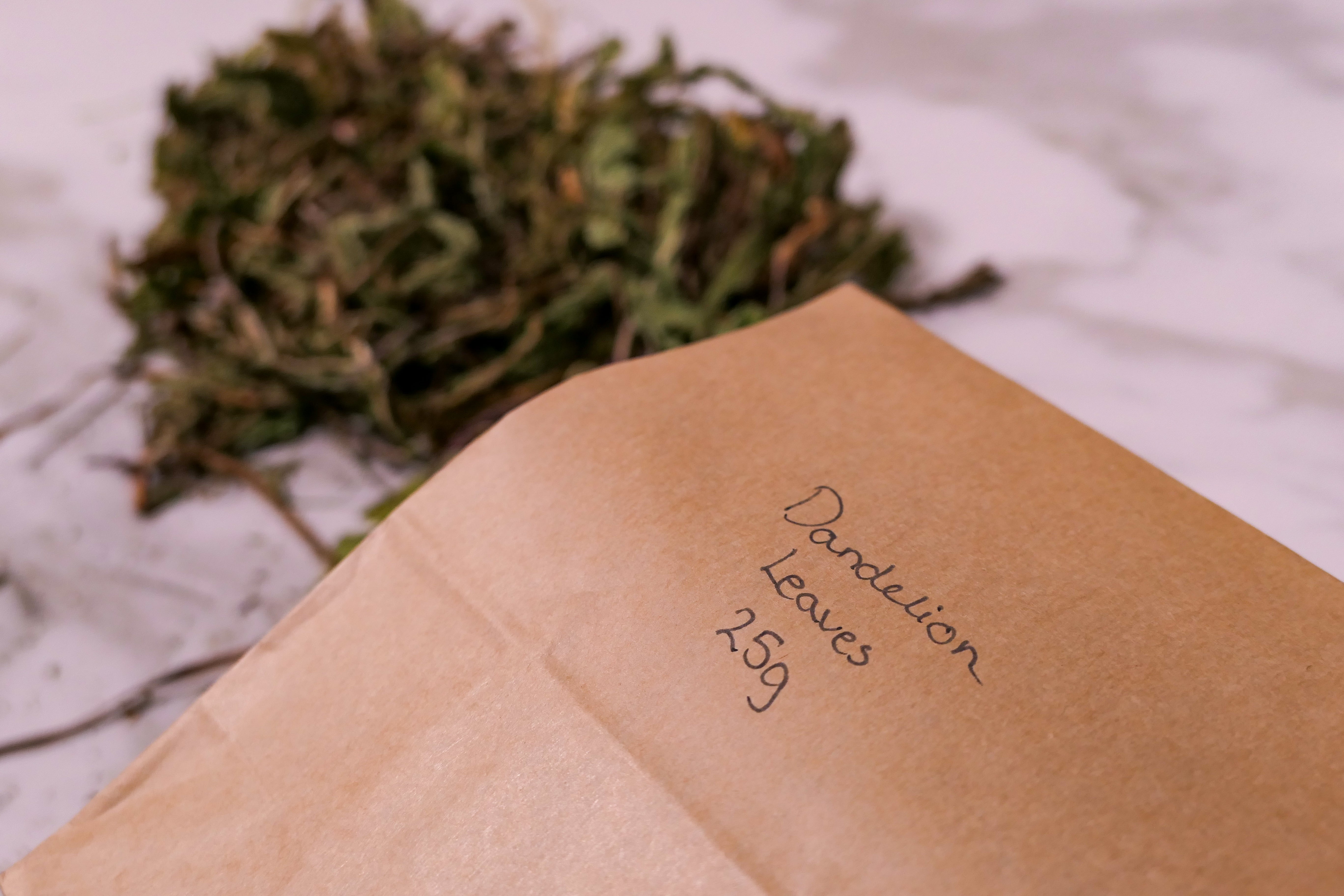 Bunny Forage - Dandelion leaves