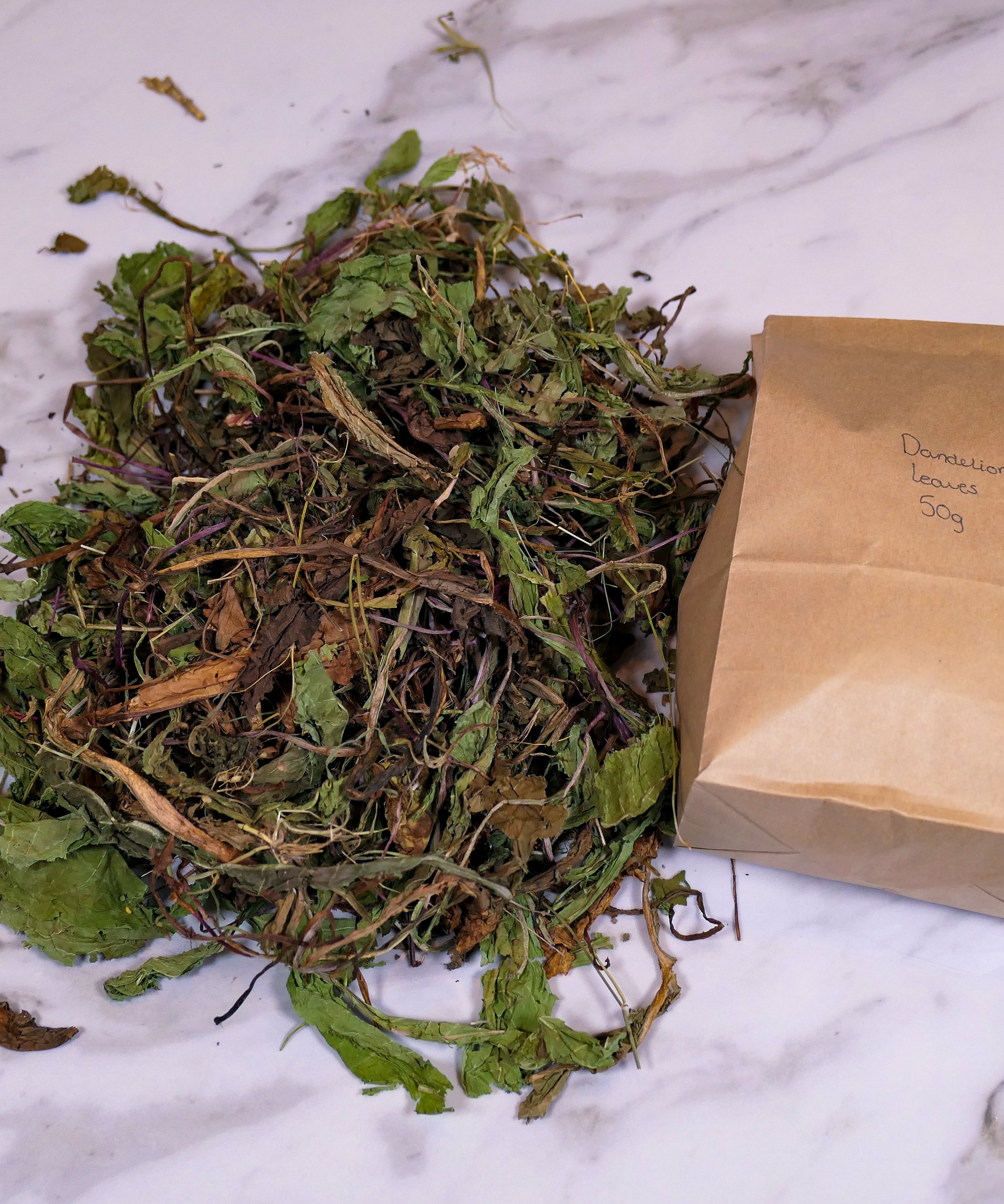 Bunny Forage - Dandelion leaves