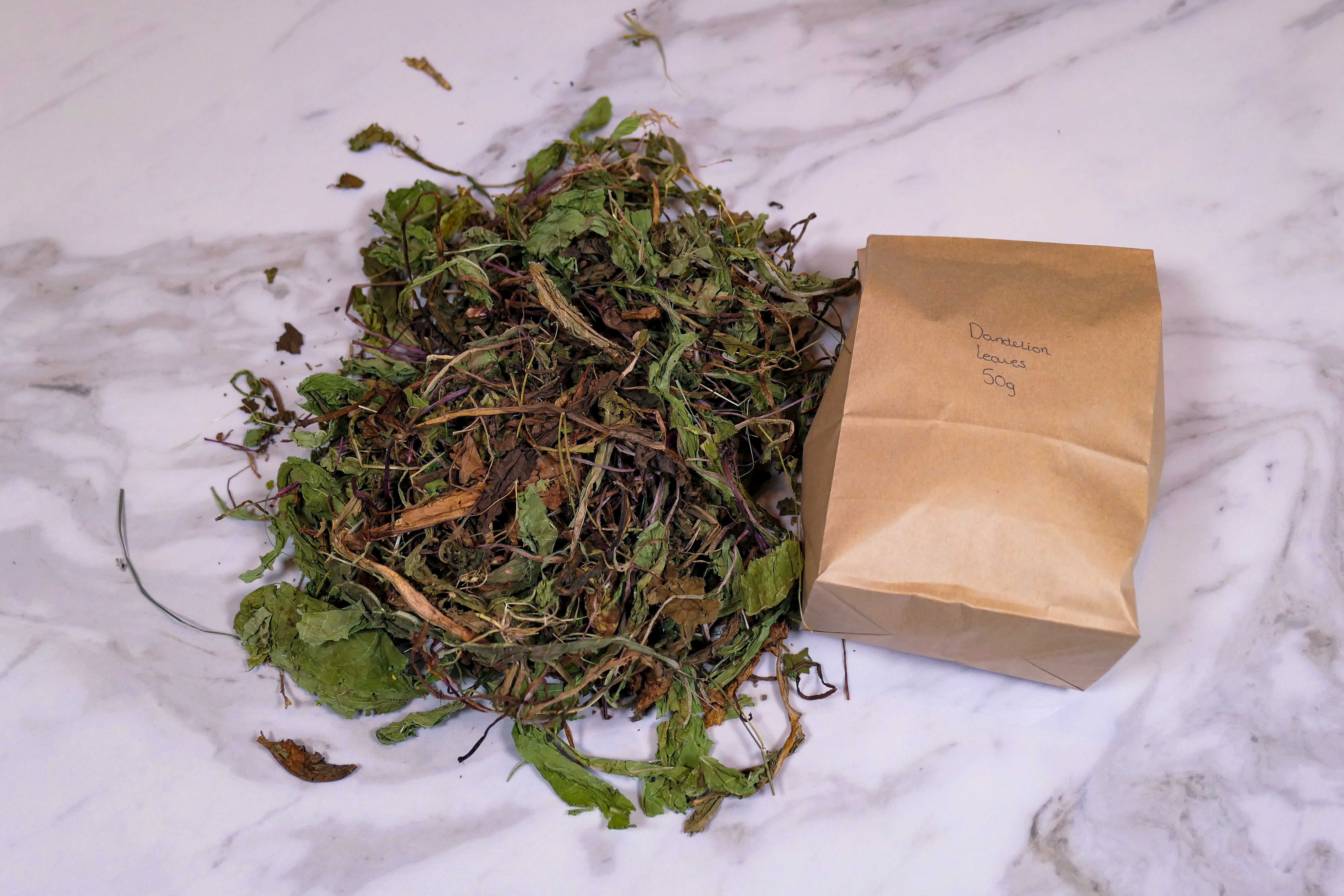 Bunny Forage - Dandelion leaves